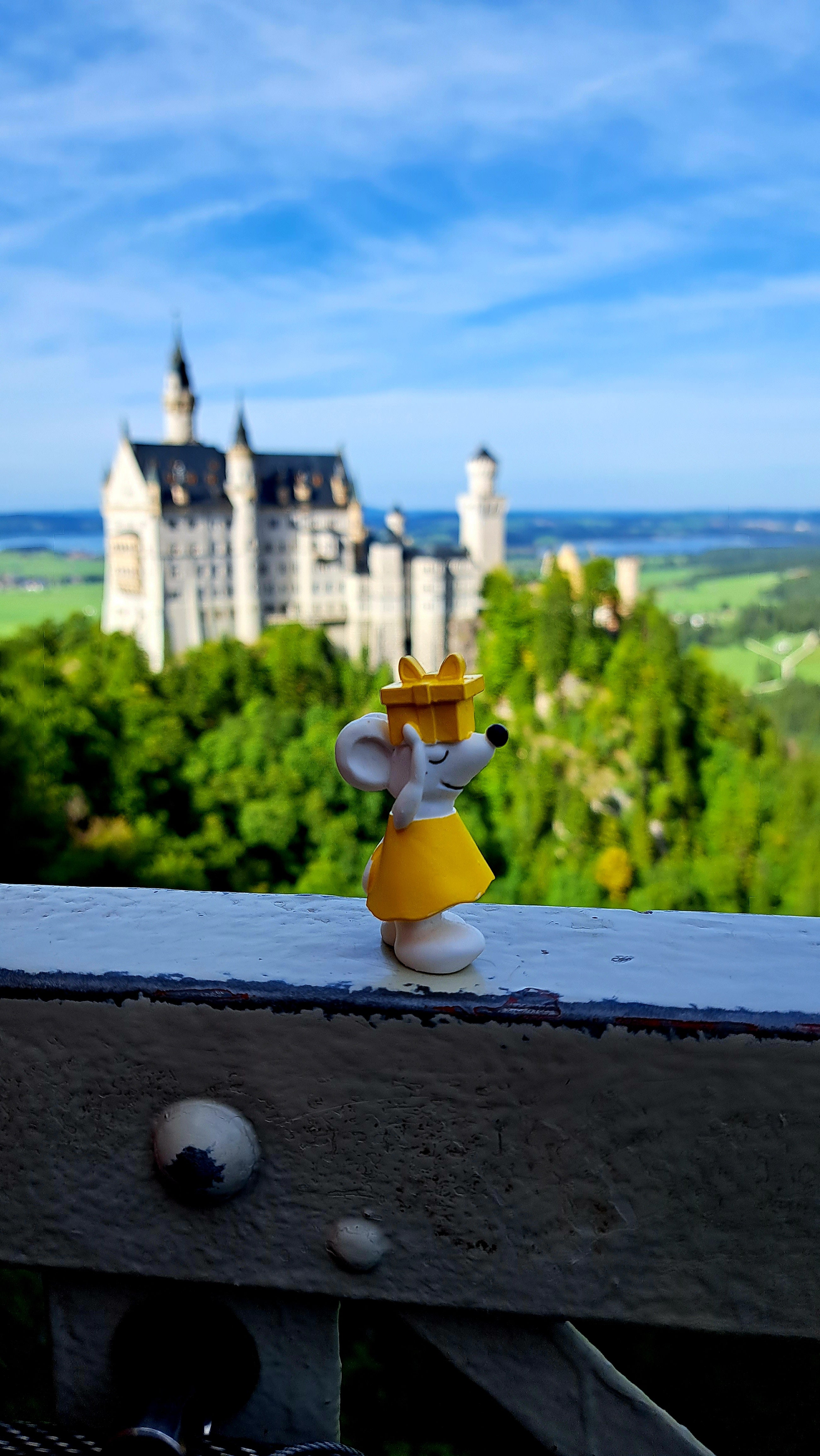 🏰 Manfred bei Schloss Neuschwanstein – Ein märchenhafter Ausflug