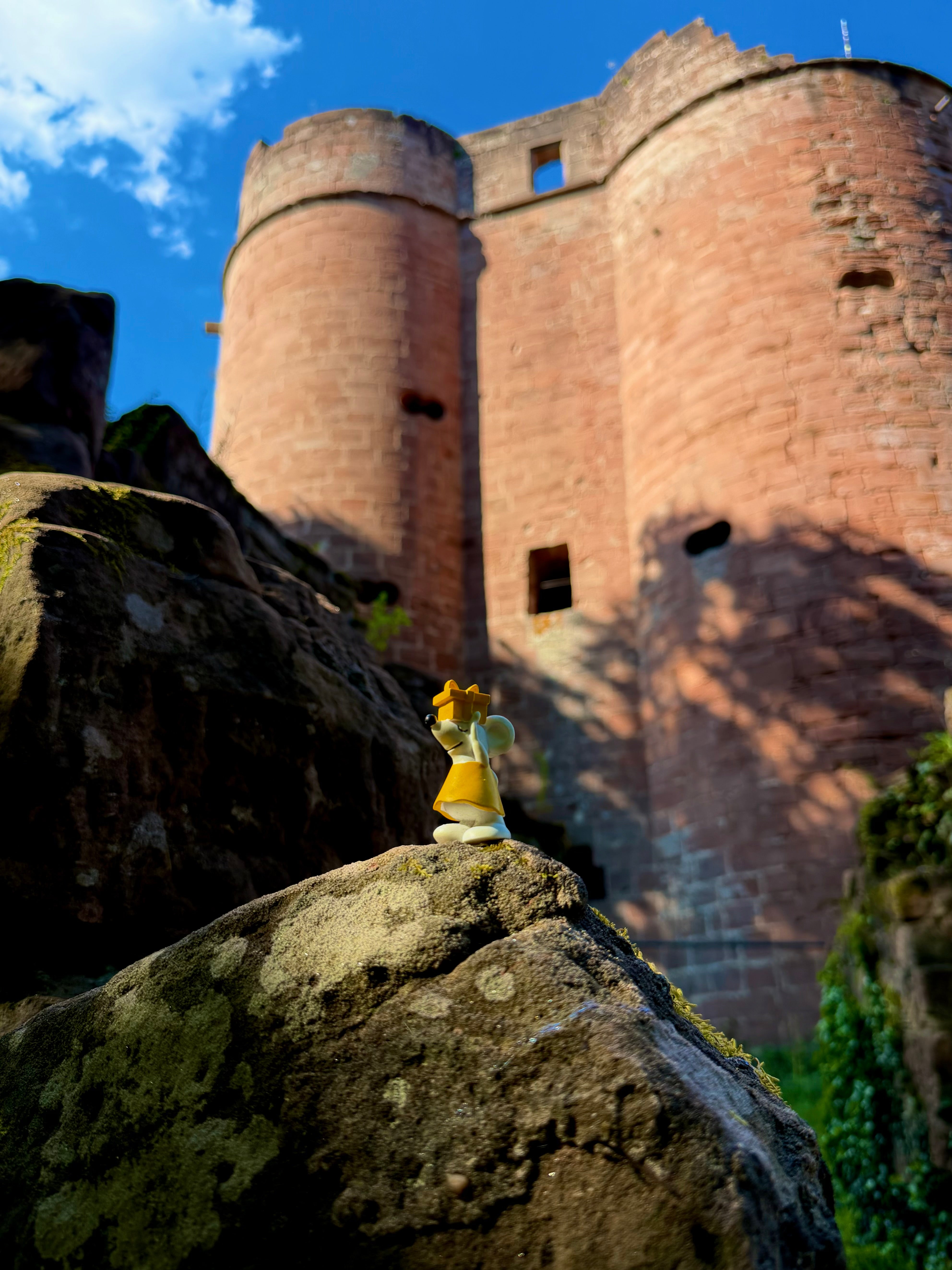🏰🪨 Manfred zwischen Burgen und Felsen in der Pfalz