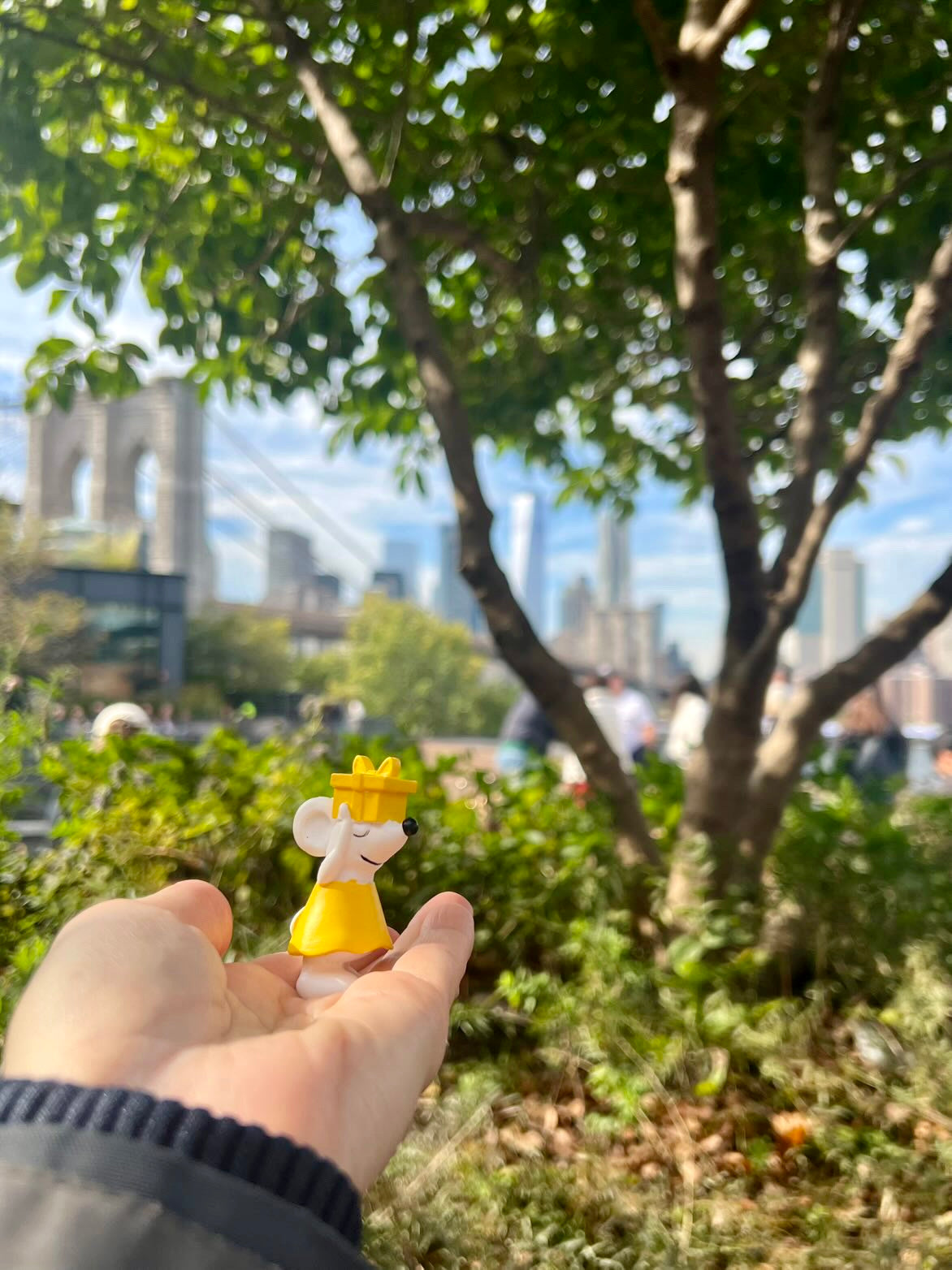 🗽 Manfred in New York – Hoch hinaus im Brooklyn Bridge Park