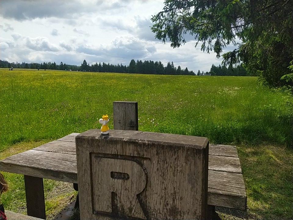 🌲 Manfred unterwegs auf der Wiedepfuhlswiese am Rennsteig
