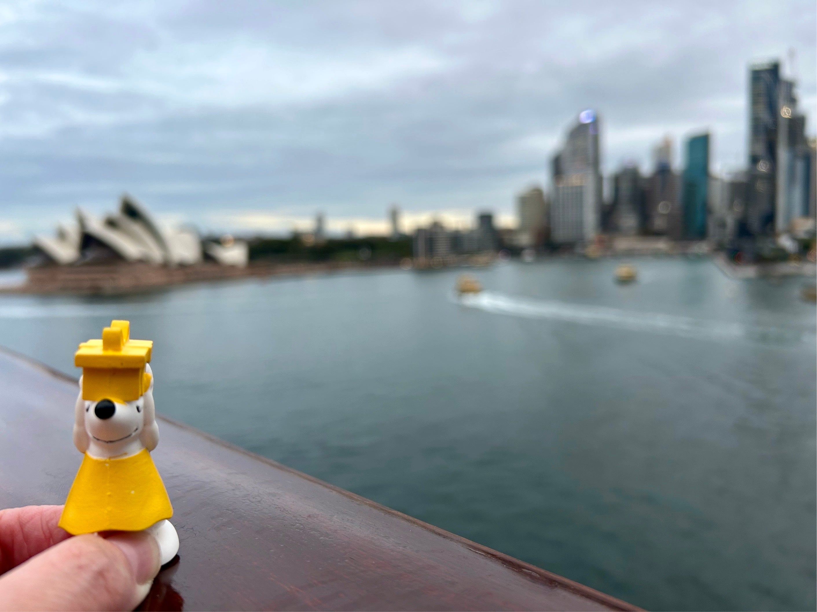 🐨 Manfred in Sydney – Zwischen Opernhaus und Skyline unterwegs