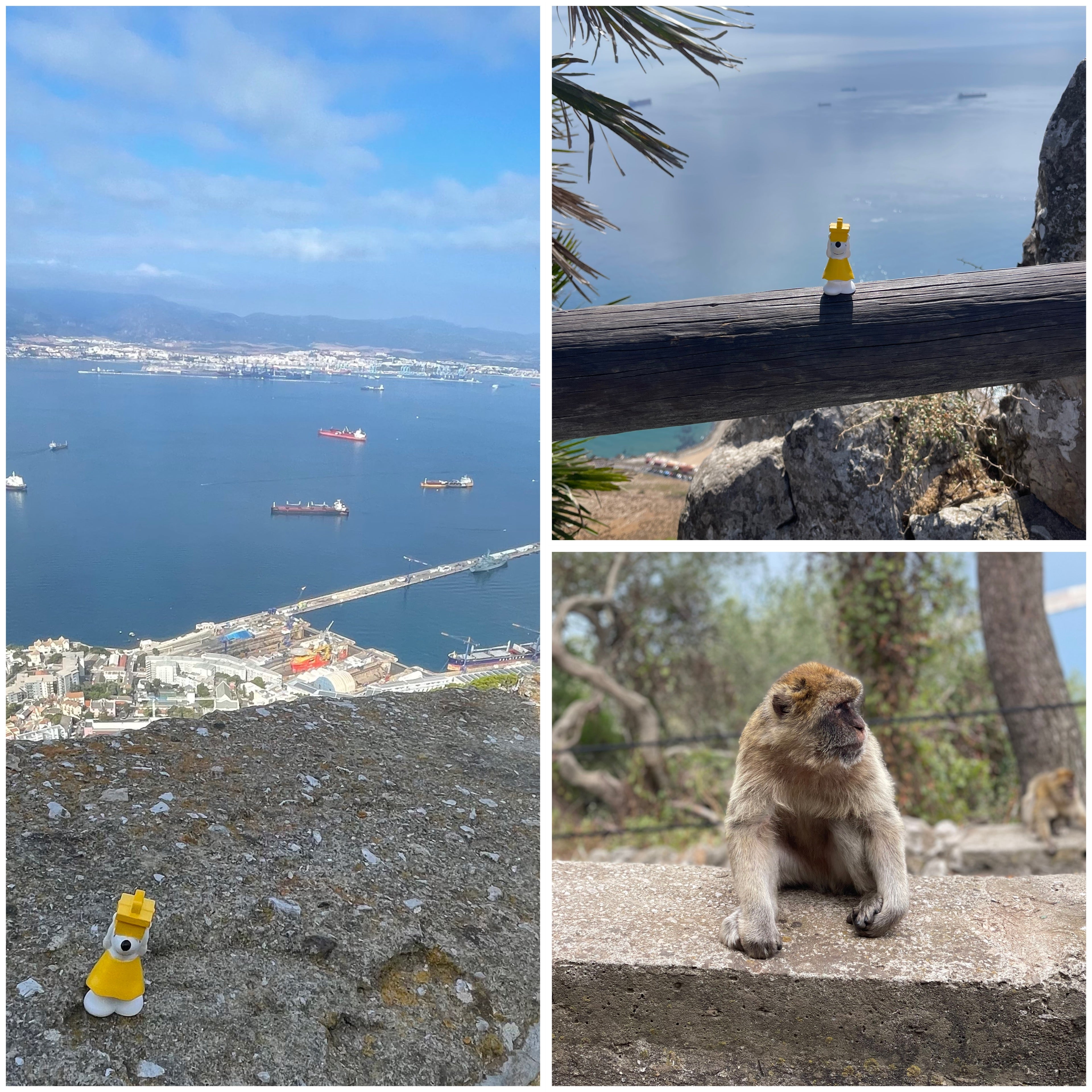 đđŠ Manfred unterwegs in Gibraltar