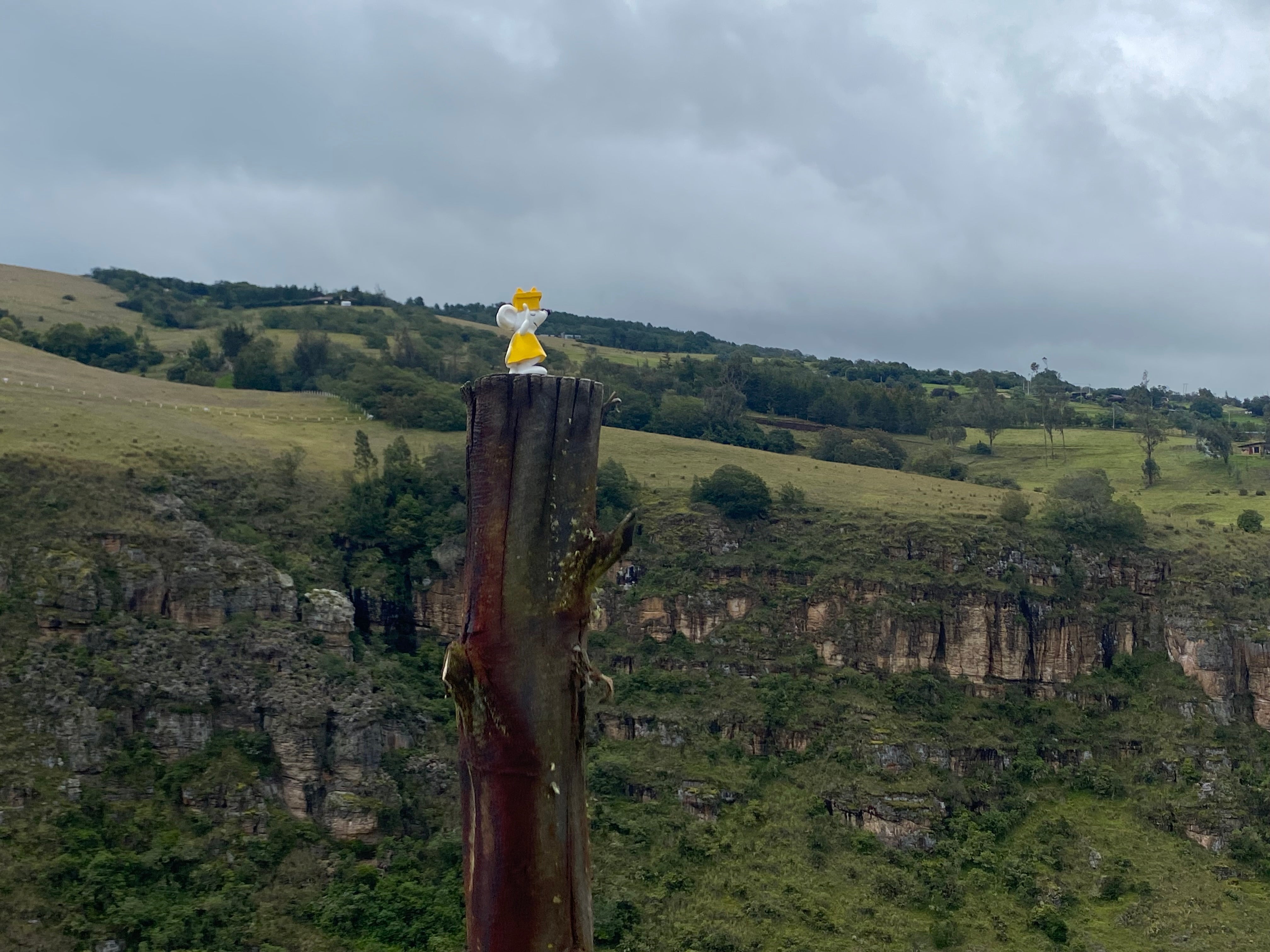 🐭🧗 Manfred unterwegs in Suesca, Kolumbien