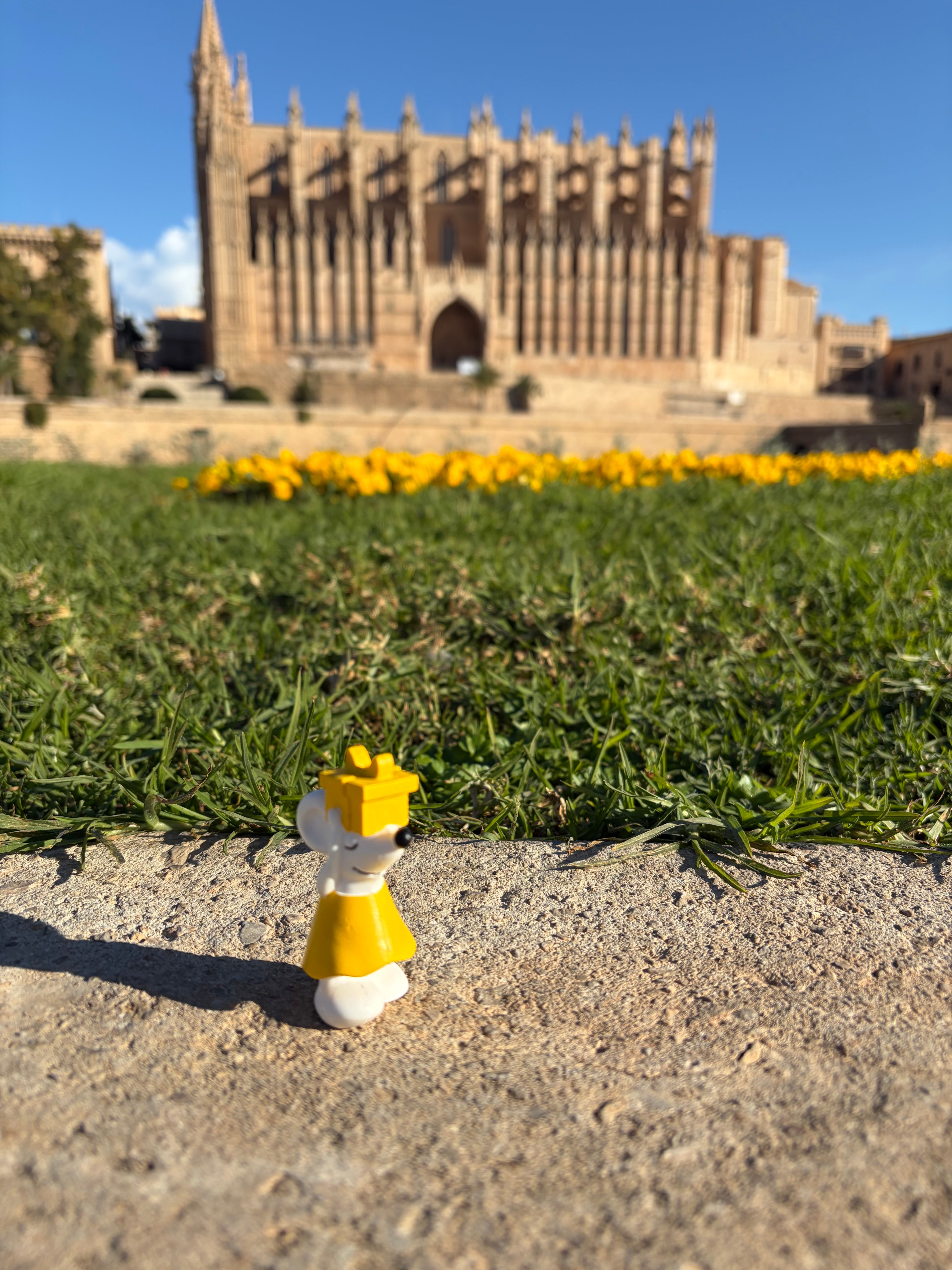 🏖️ Manfred auf Sonnenauszeit – unterwegs in Palma de Mallorca