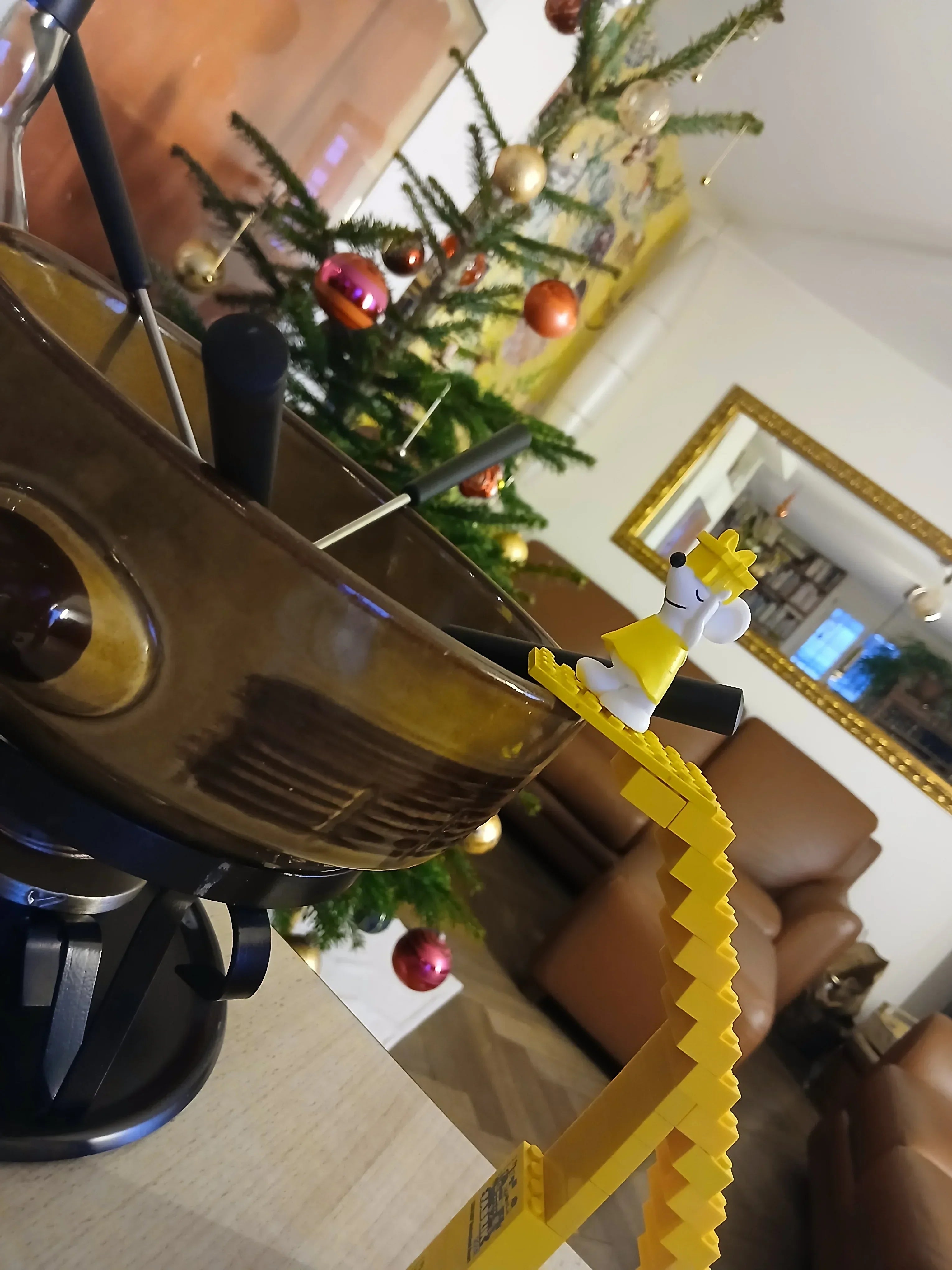 🫕✨ Fondue mit Seeblick – Manfred in Biel-Bienne