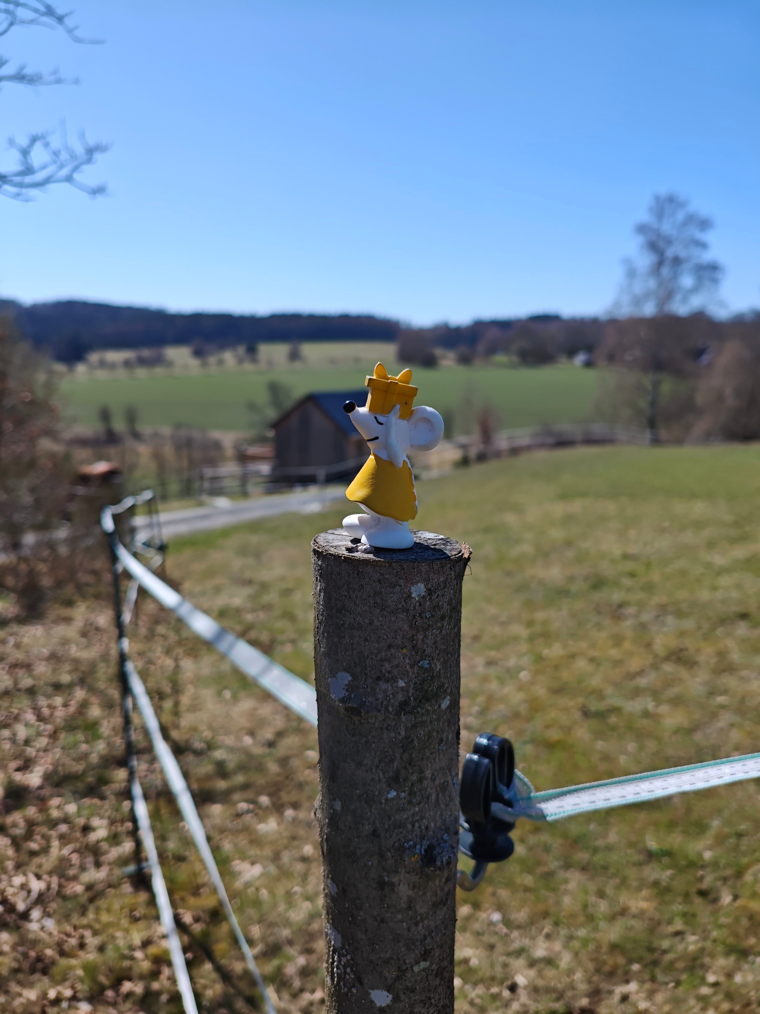 🥾🌄 Manfred auf großer Wanderschaft – unterwegs auf dem Kammweg