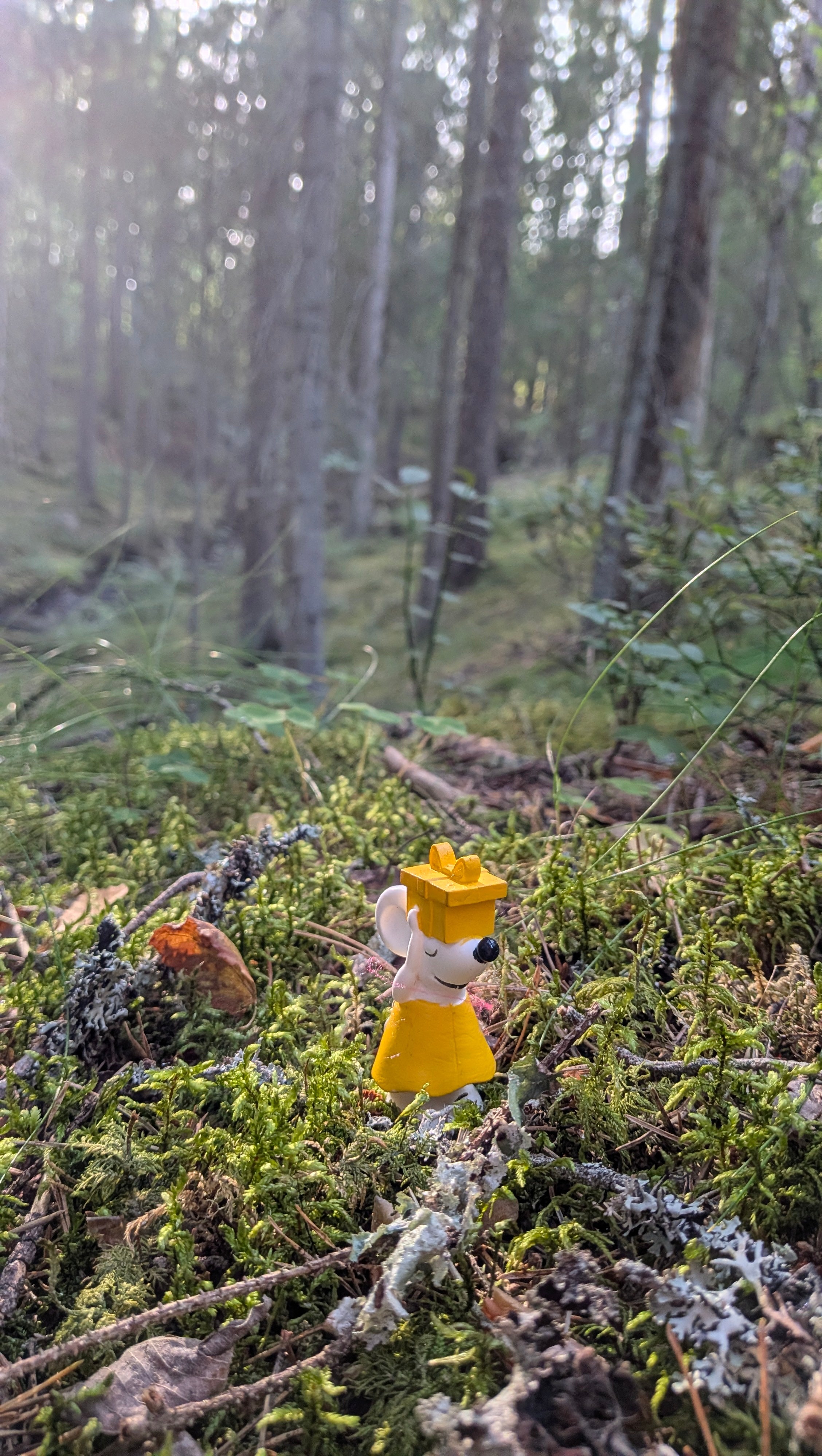 🐭🌲 Manfred unterwegs in Schweden