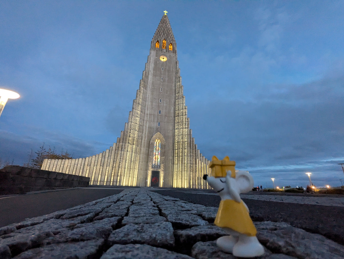 🐭🌋 Manfred auf Island-Rundreise