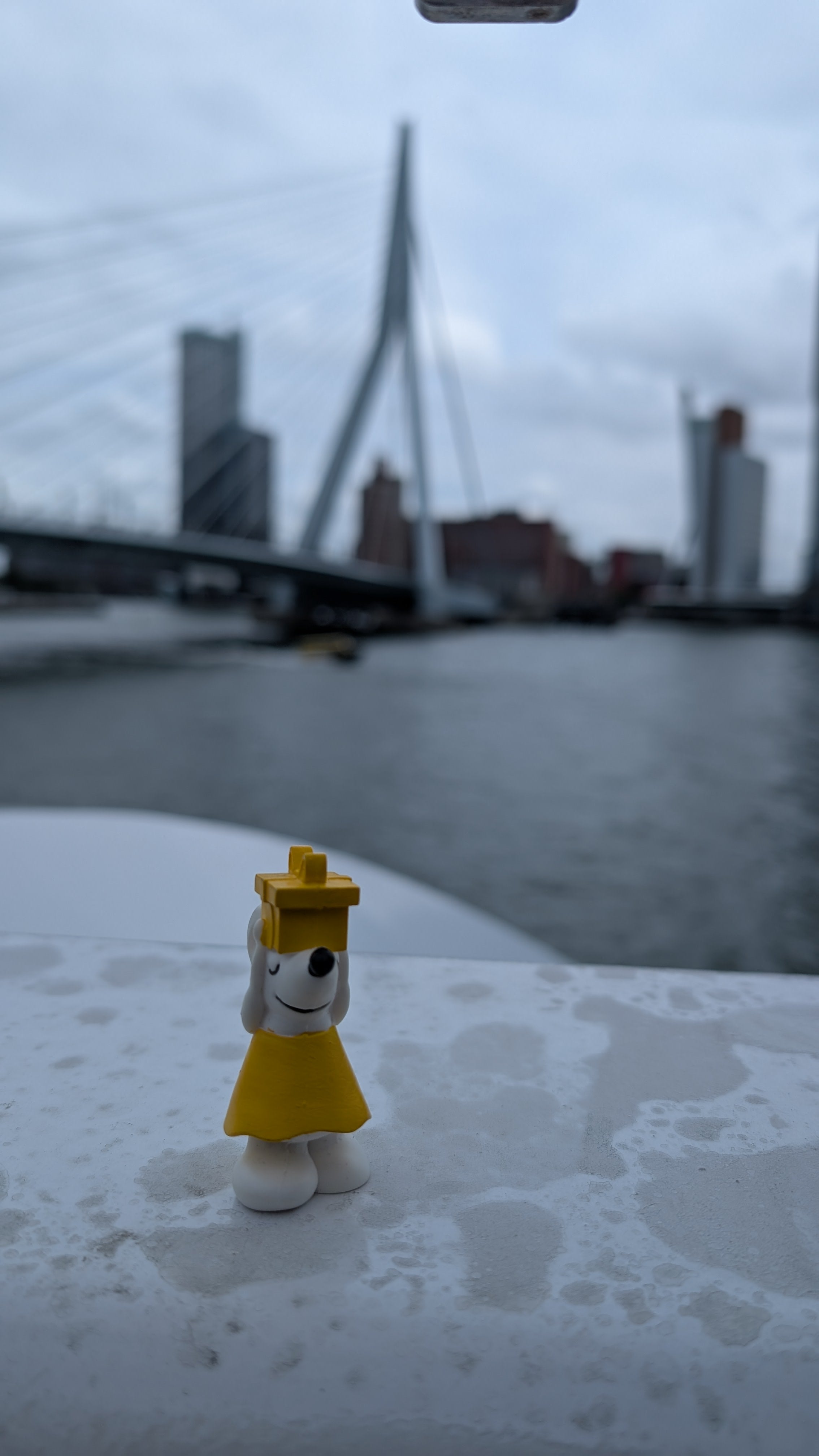 🌉 Manfred zu Besuch in Rotterdam