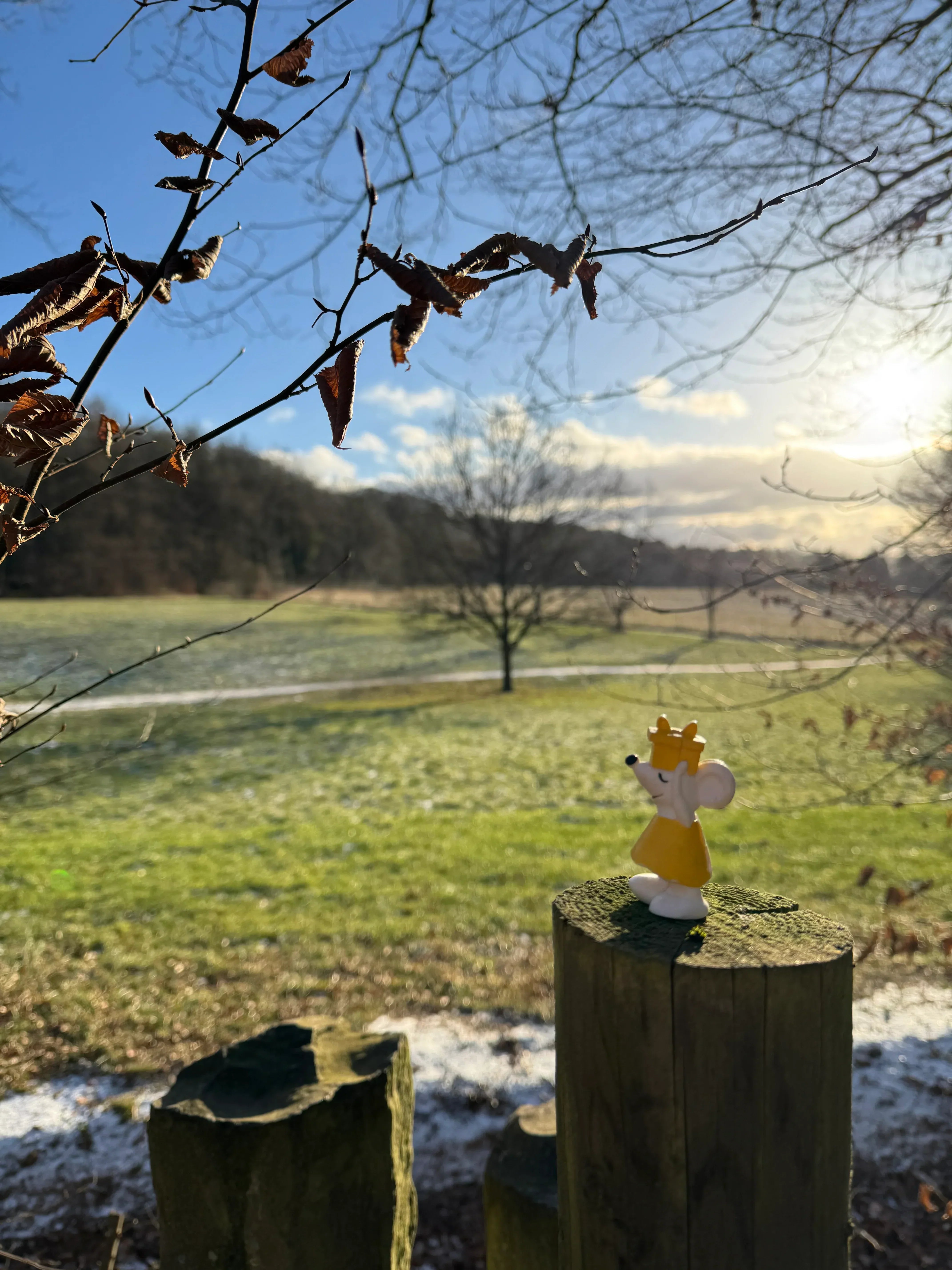 🌿 Manfred auf Entdeckungstour am Remstecken