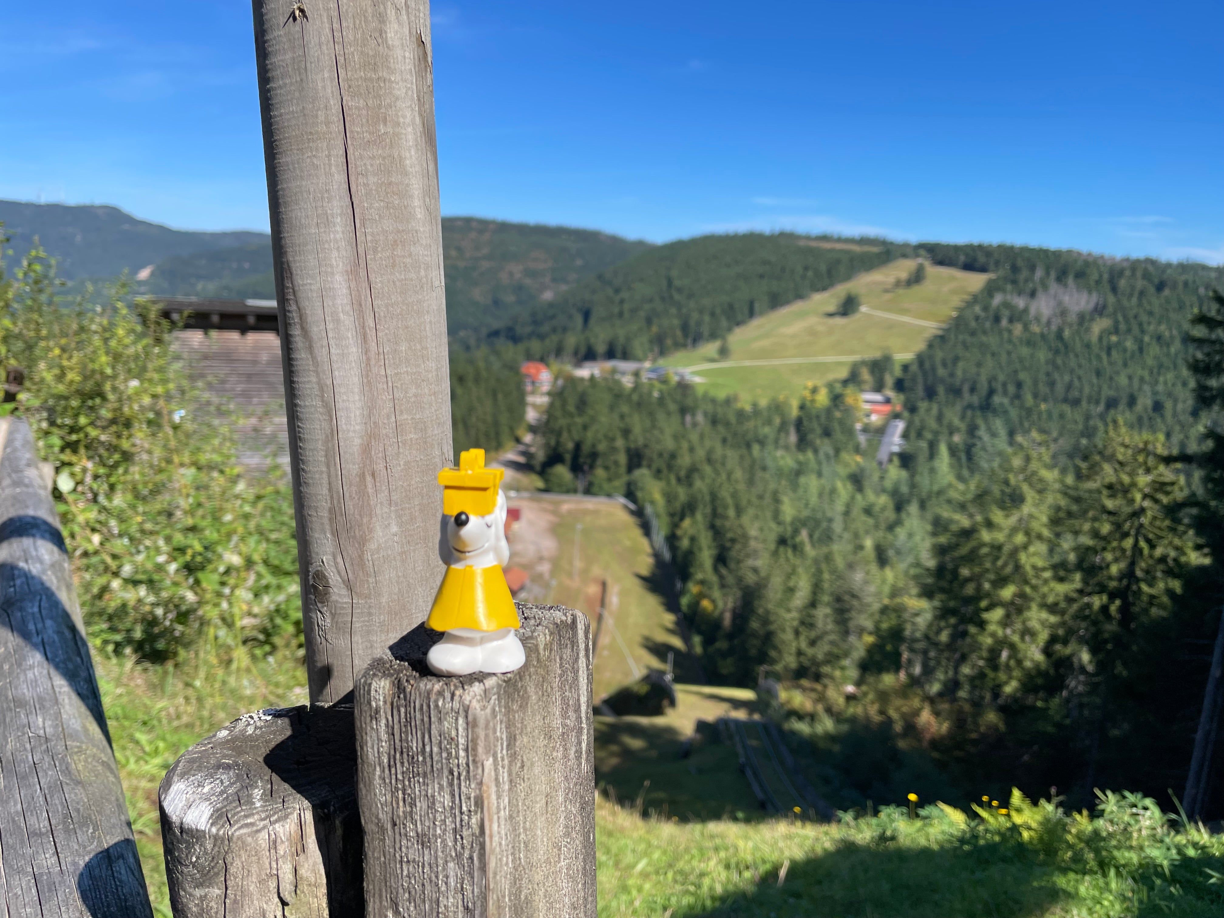 🌲🐭 Manfred unterwegs auf dem Schwarzwald-Westweg – Schritt für Schritt durch wilde Natur