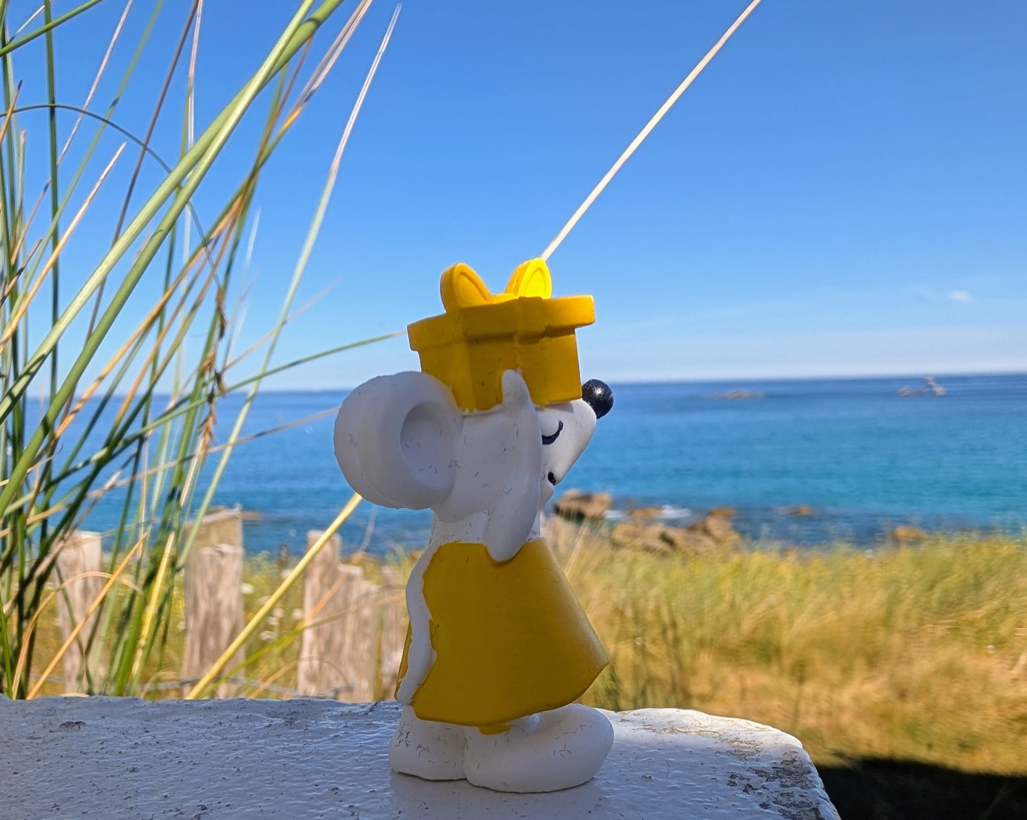 🐭🌊 Manfred unterwegs in der Bretagne