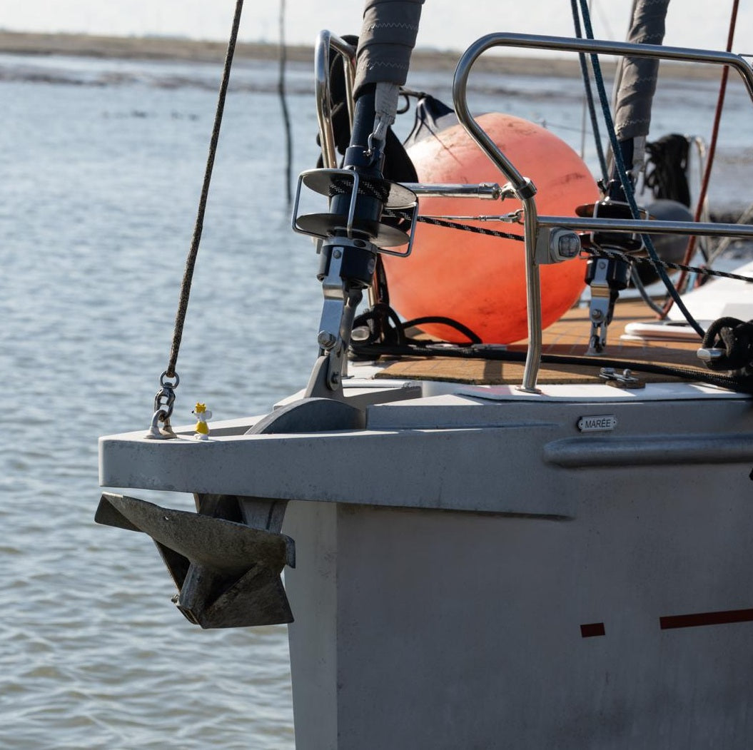 ⛵ Manni geht an Bord – Segelabenteuer voraus!