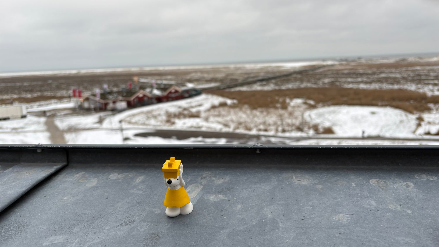 🐭🏖️❄️ Manfred zwischen Sand und Winterluft in Sankt Peter-Ording