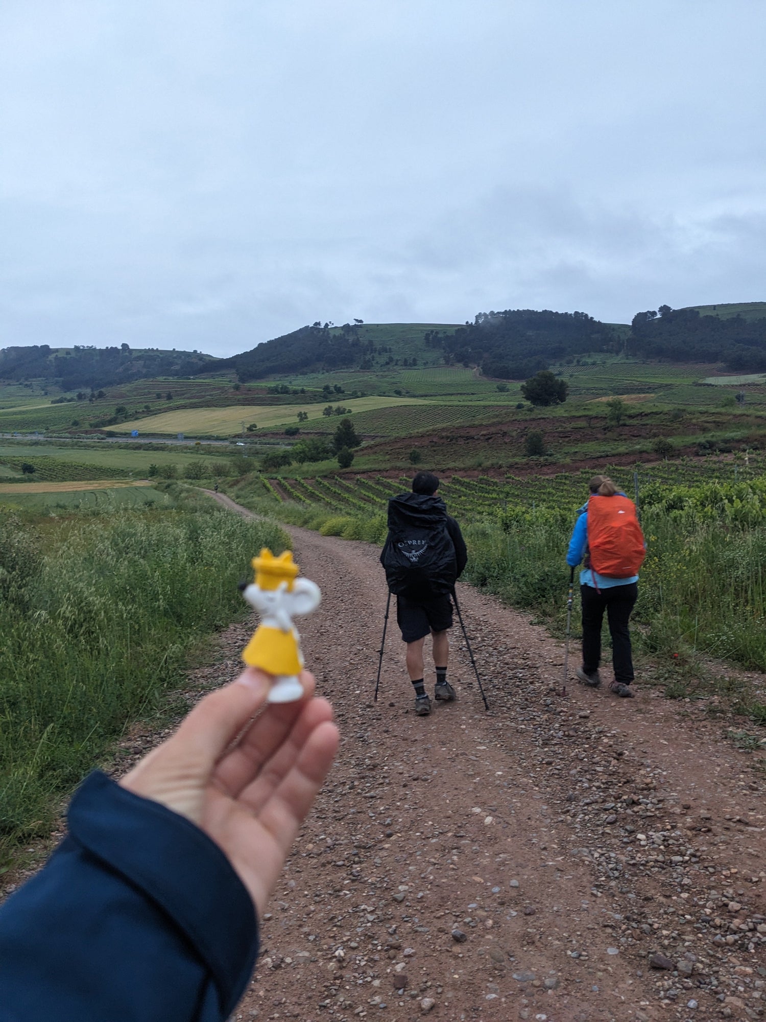 🧳 Manfred auf dem Jakobsweg – mit Hanna durch Nordspanien
