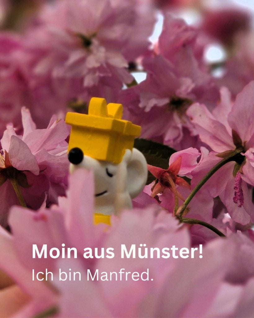 🐭 Manfred in Münster: Zwischen Geschichte und Käsekuchen 🍰 🏰