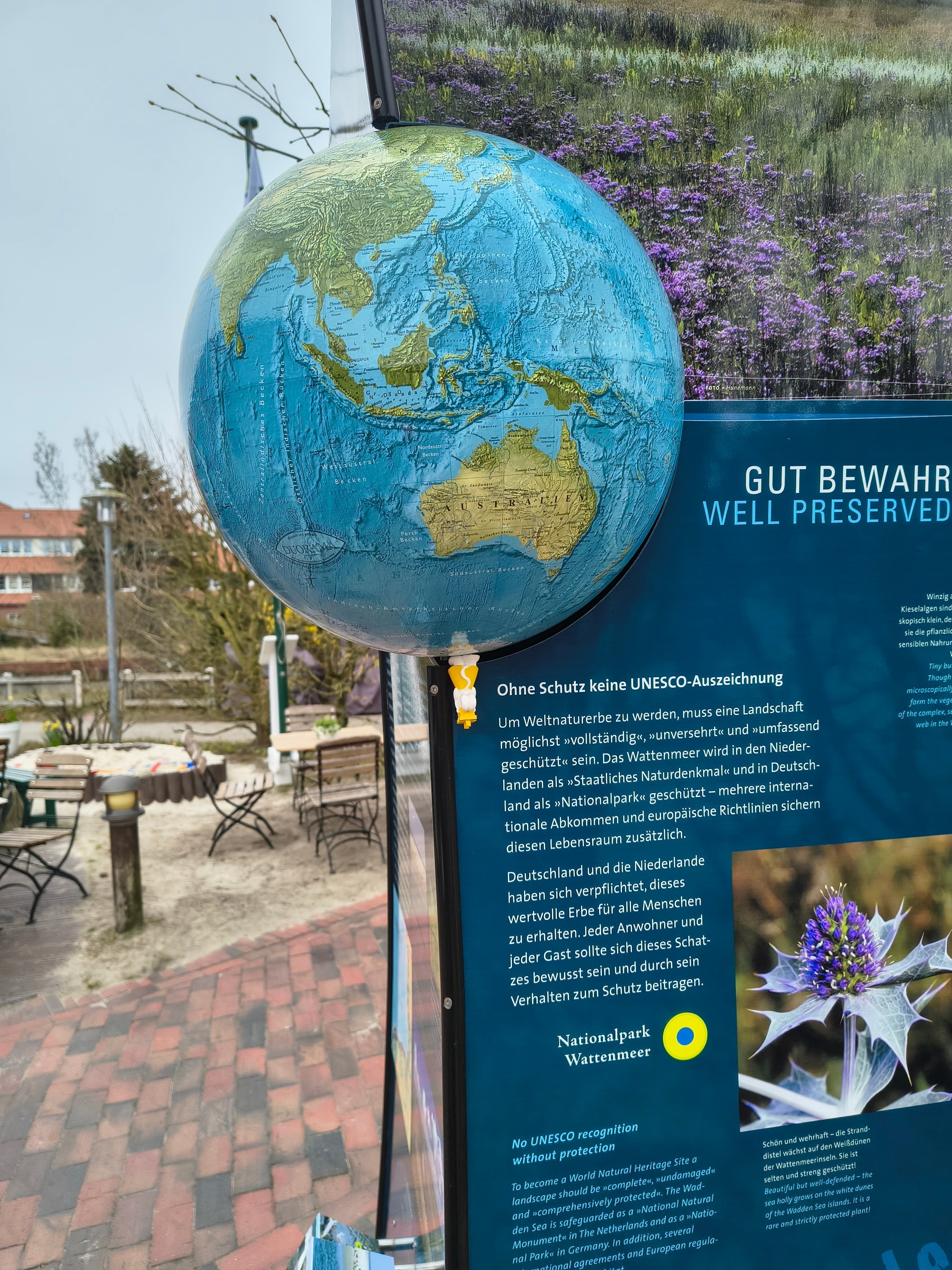 🐭 Kopfstand am Wittbülten – Manfreds fröhliche Inselmomente