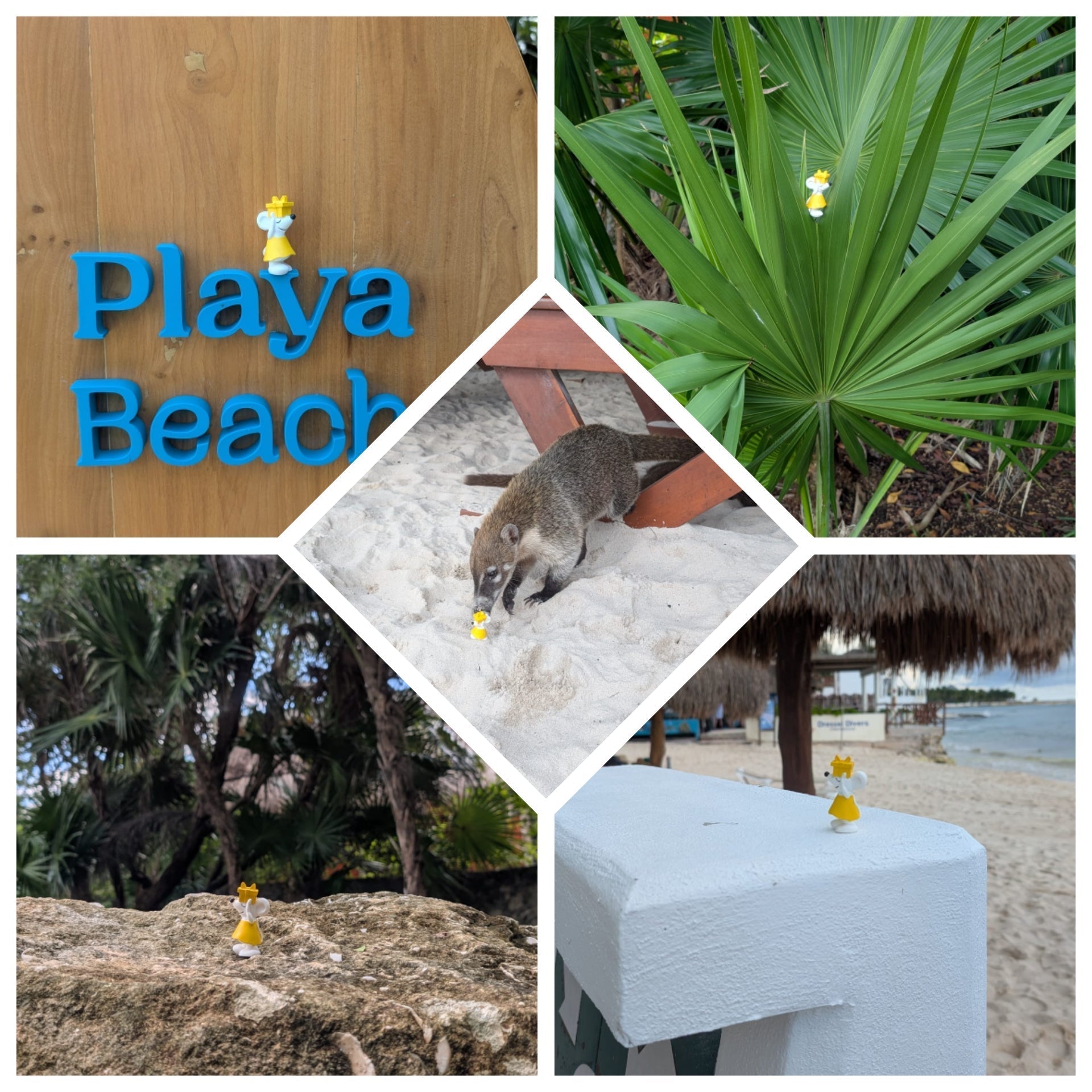 🇲🇽 Manfred in Mexiko – Sonne, Sand und fast entführt! 🌴