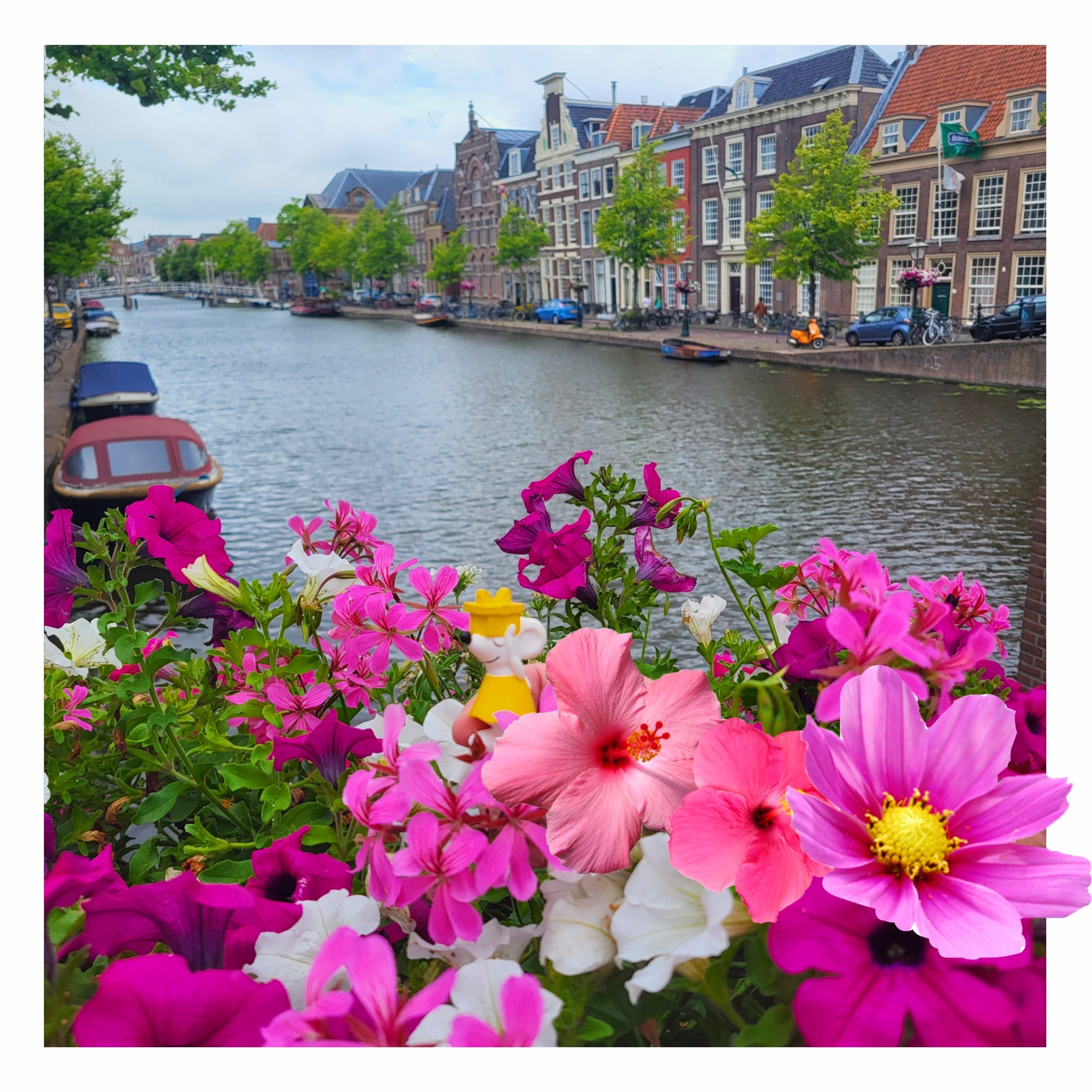 🚐 Manfred war unterwegs – diesmal in Leiden 🇳🇱