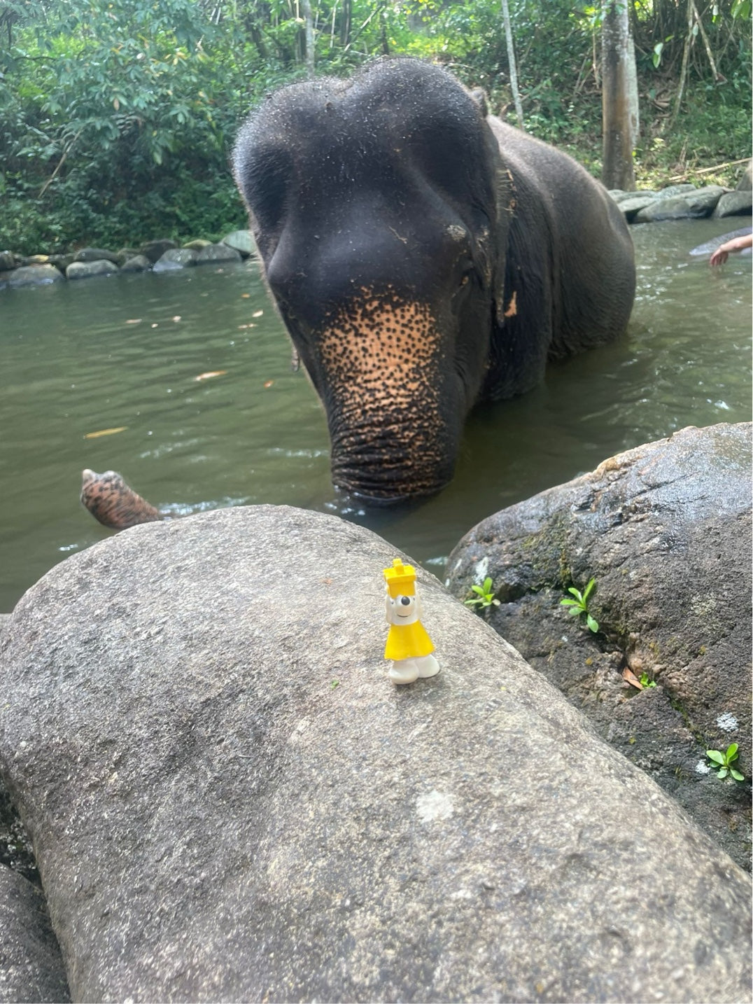 🌴 Manfred in Thailand – Inselabenteuer unter Palmen und Elefanten