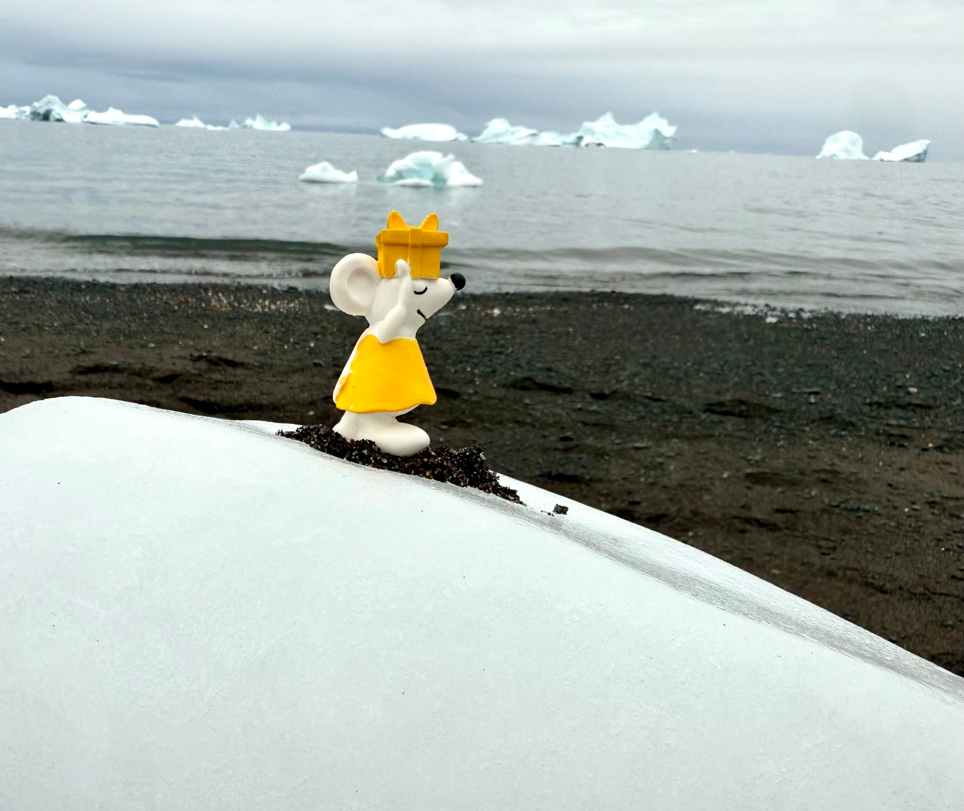 ❄️ Manfred unterwegs in 🇬🇱 Grönland – zwischen Eisbergen, Nordlicht und Stille