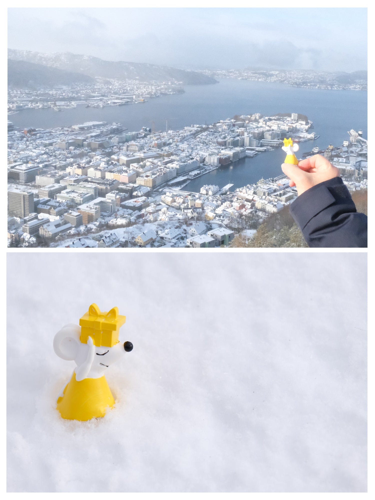 🐭❄️🚢 Manfred über den Dächern von Bergen