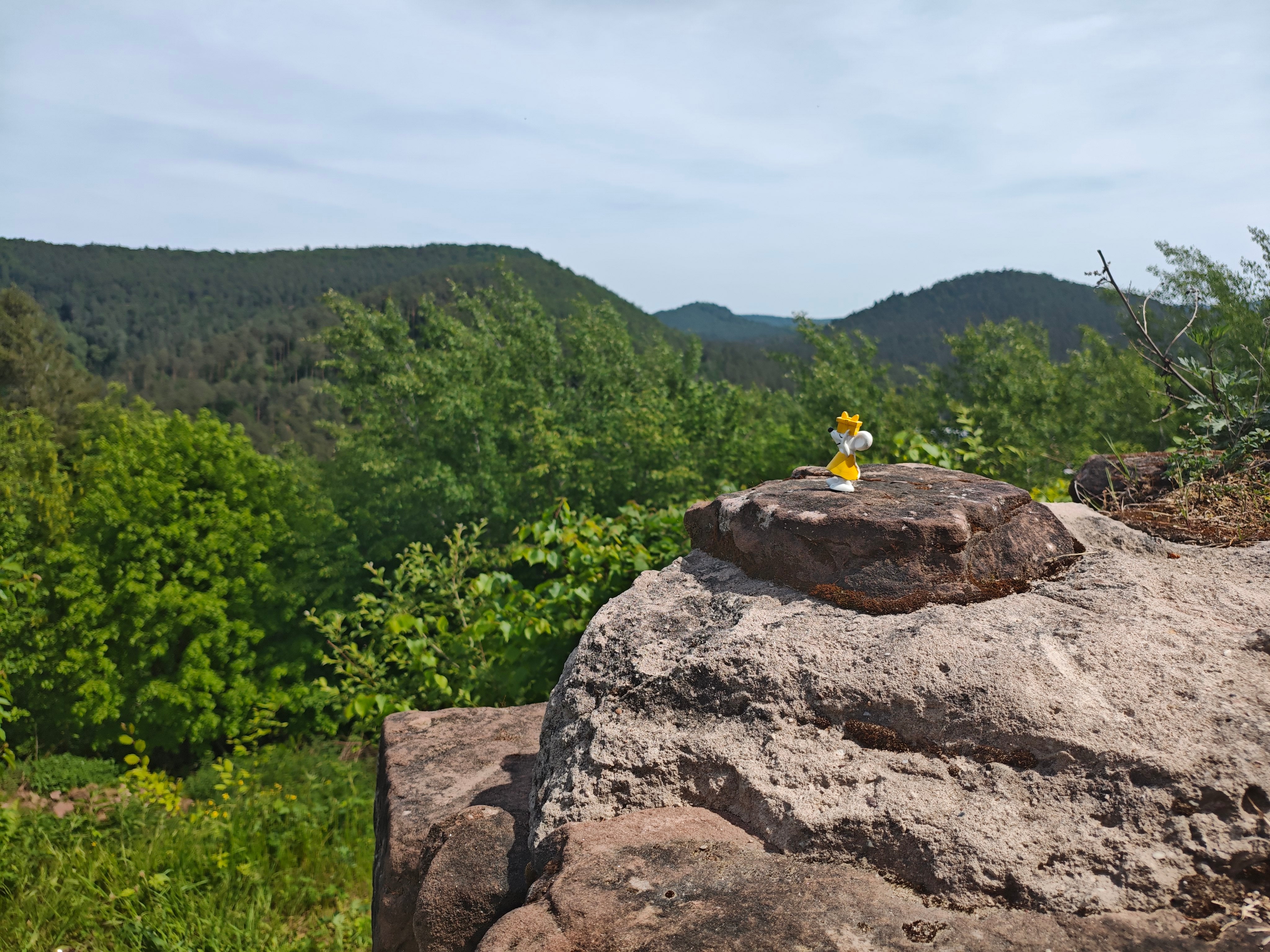🪨 Zwischen Felsen und Weite – Manfred im Dahner Felsenland
