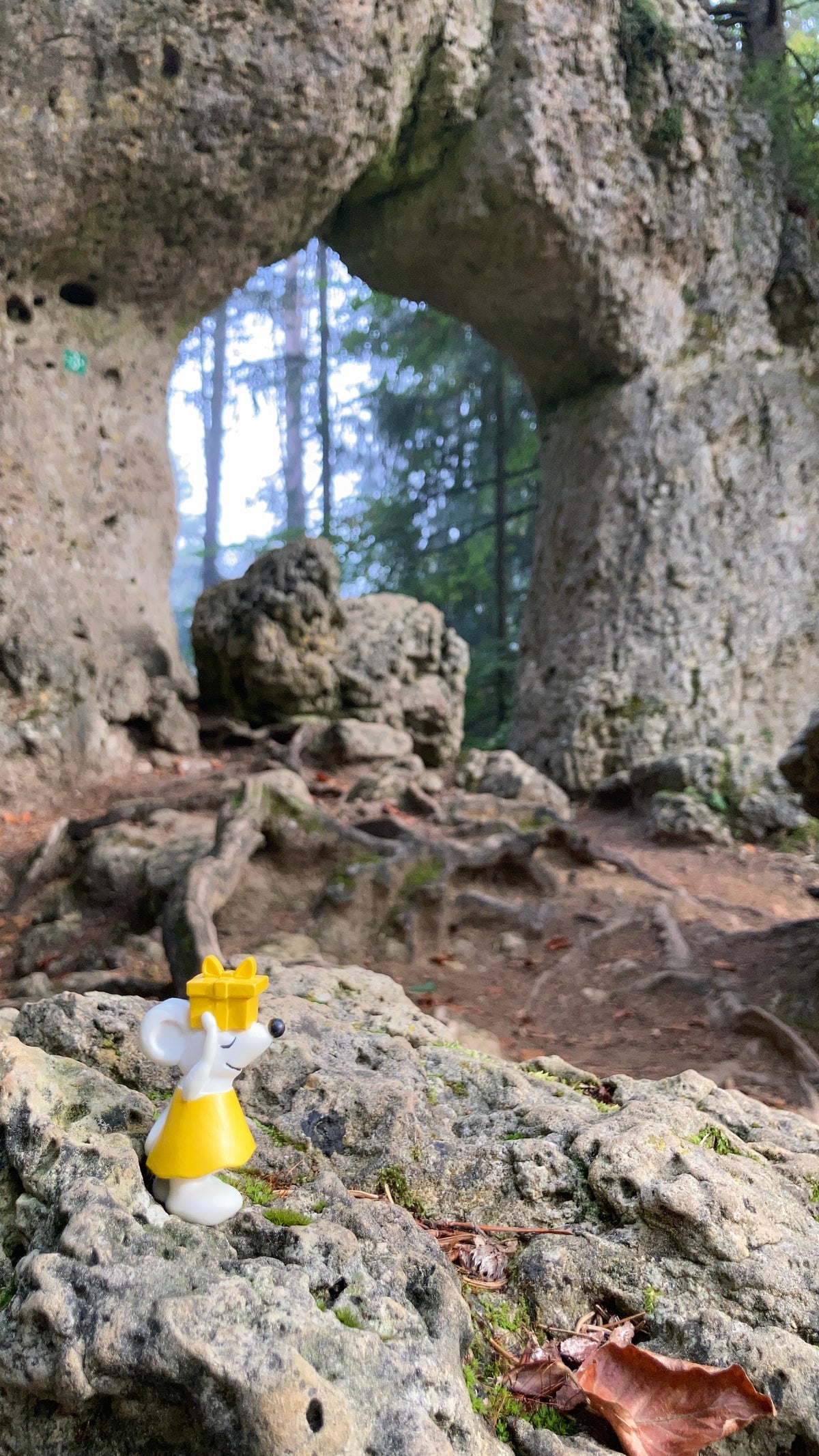 🐭🏔️ Manfred unterwegs in der Hersbrucker Schweiz