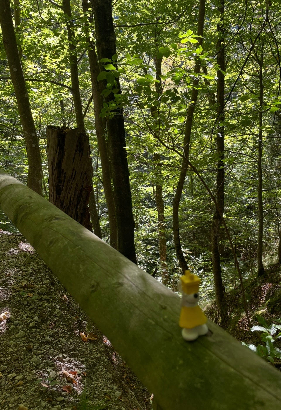 🐭🏔️ Manfred unterwegs in Füssen im Allgäu