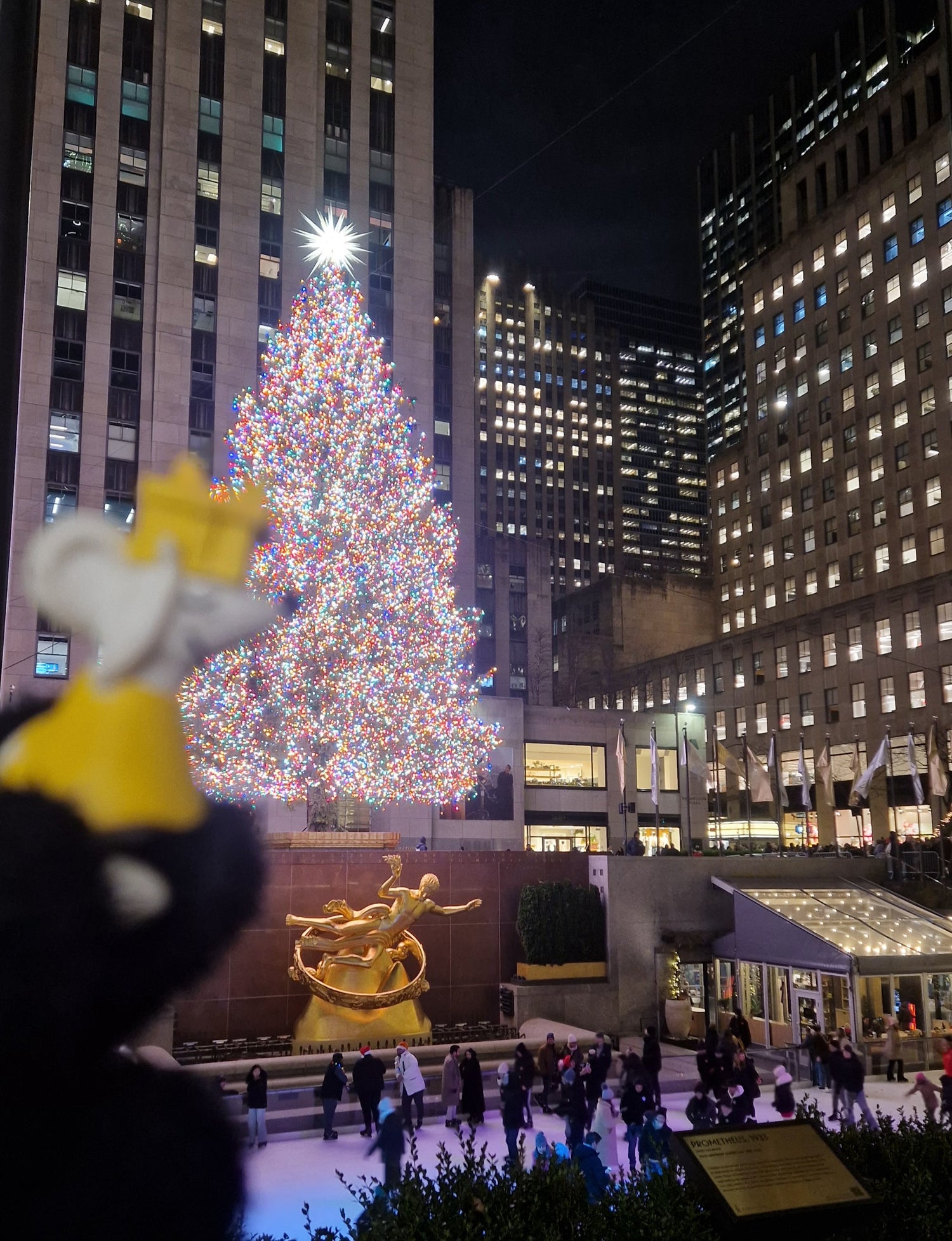 🗽 Manfred entdeckt New York – Lichterglanz, Weihnachten und große Gefühle