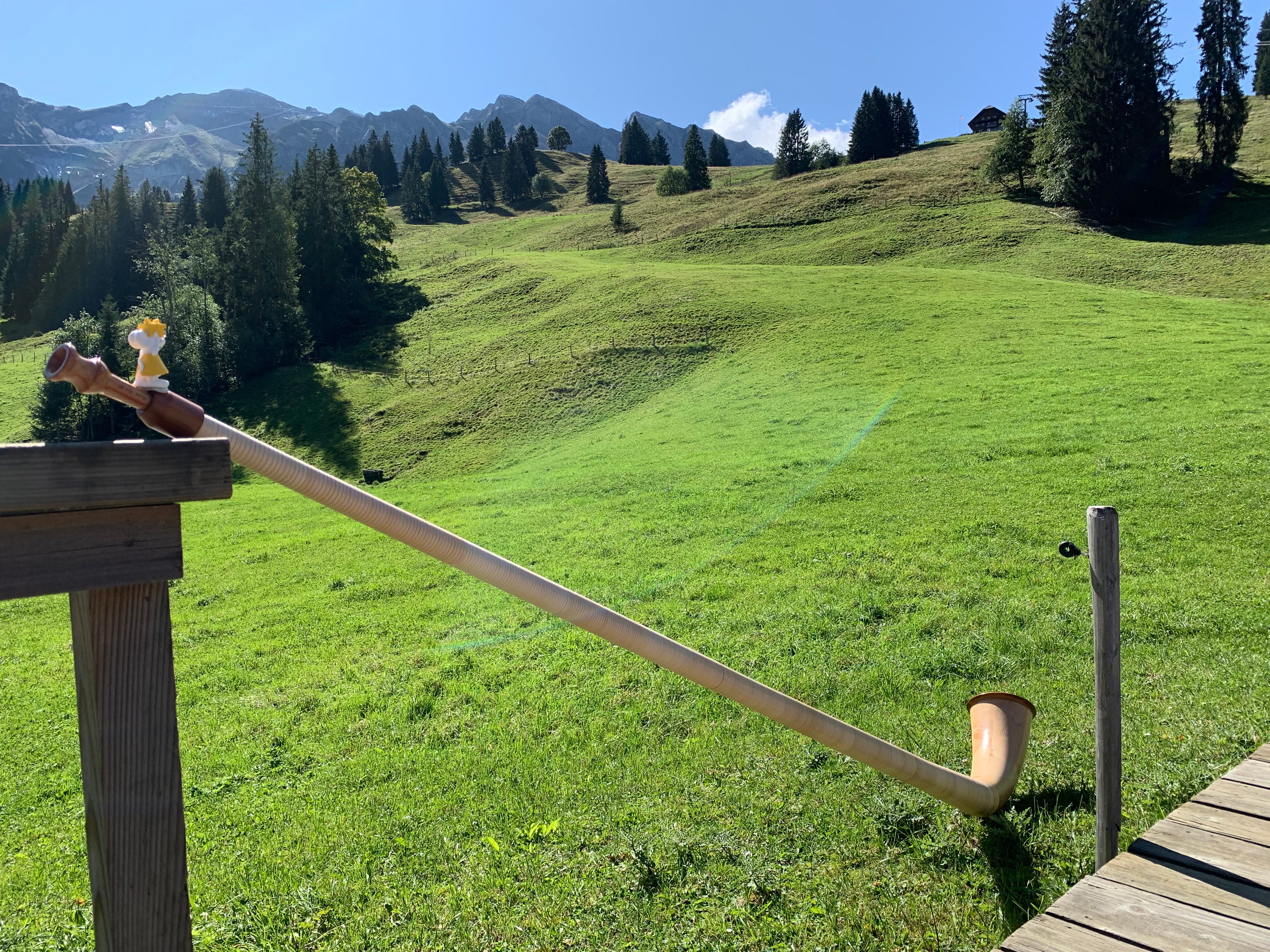 🏔️ Manfred in Sörenberg – Alphornklänge in der Schweiz
