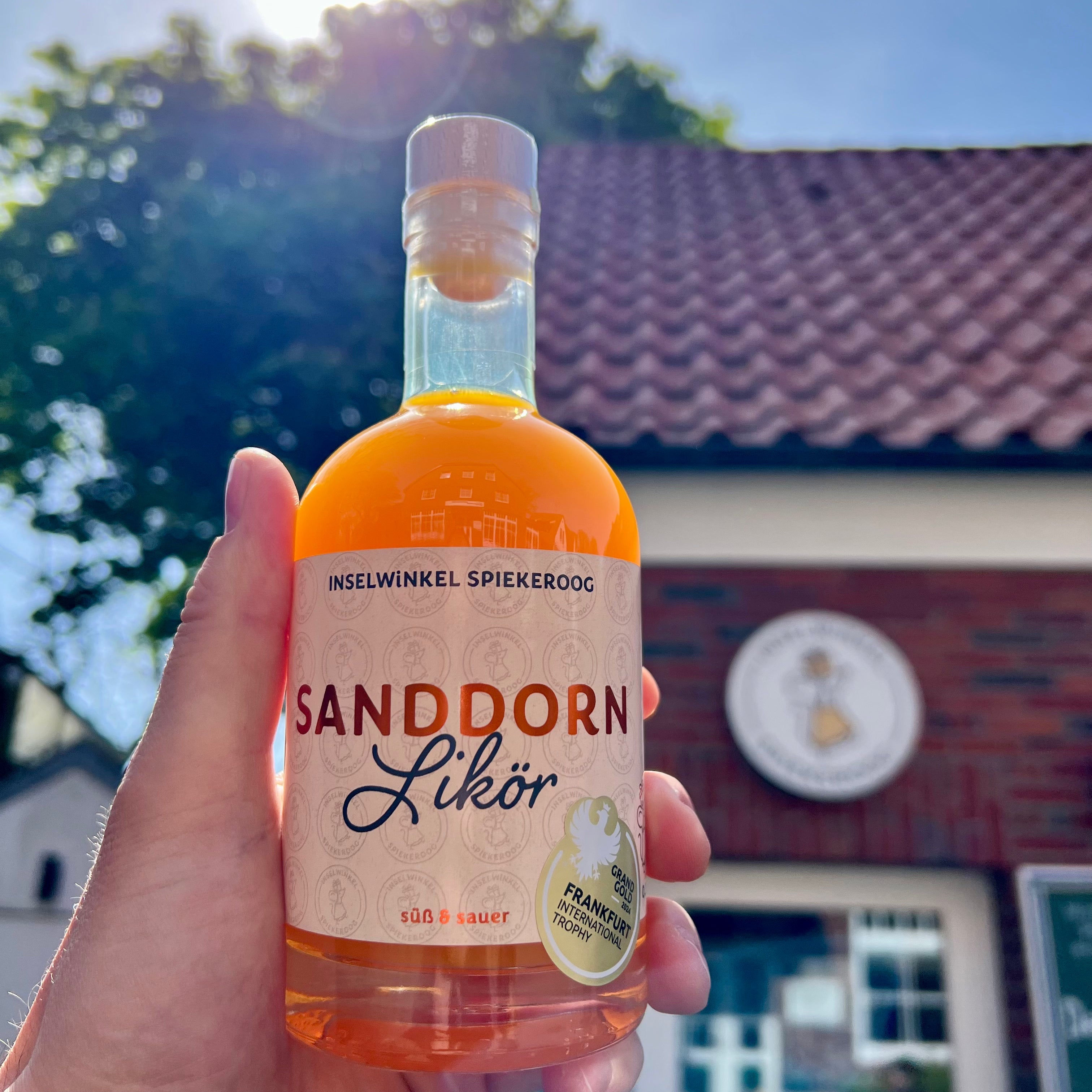 🧡 Sanddorn auf Spiekeroog? Die ganze Wahrheit über das Inselgold