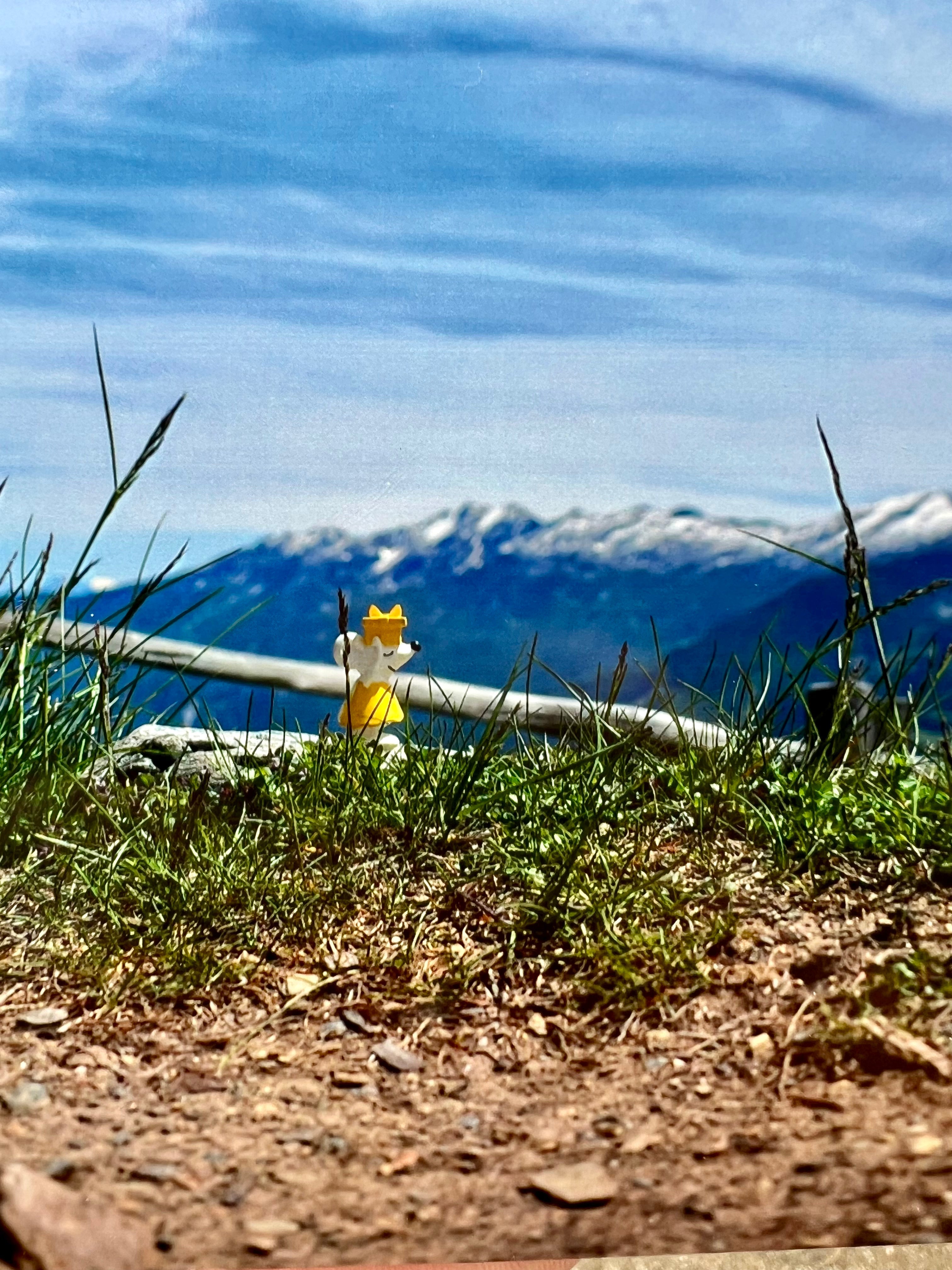 🏔️ Manfred in Tirol: Hoch hinaus auf 1.746 Metern – und weit weg vom Inselhorizont