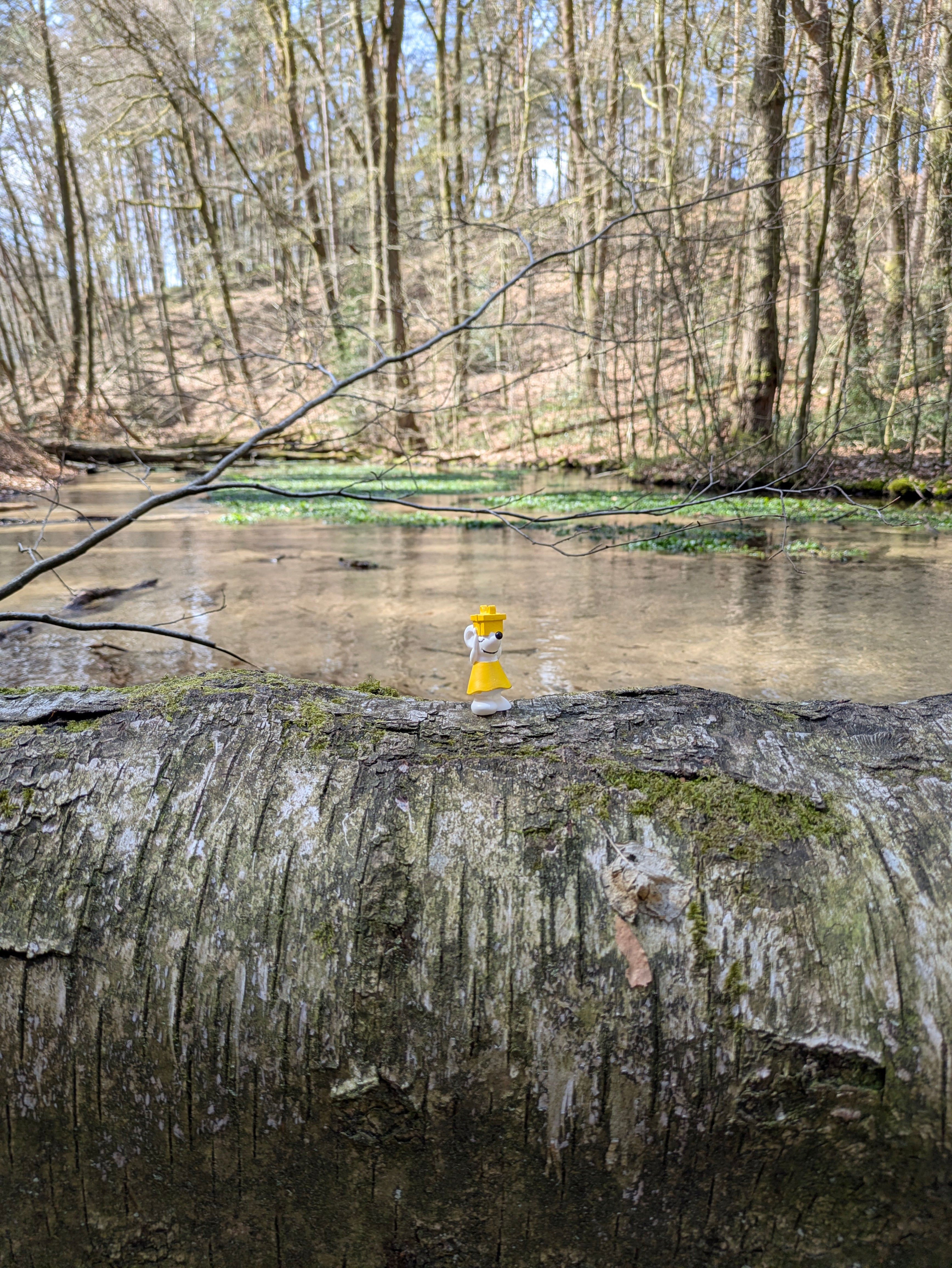 🌿 Manfred im Furlbachtal – zwischen Waldgeflüster und Osterzauber