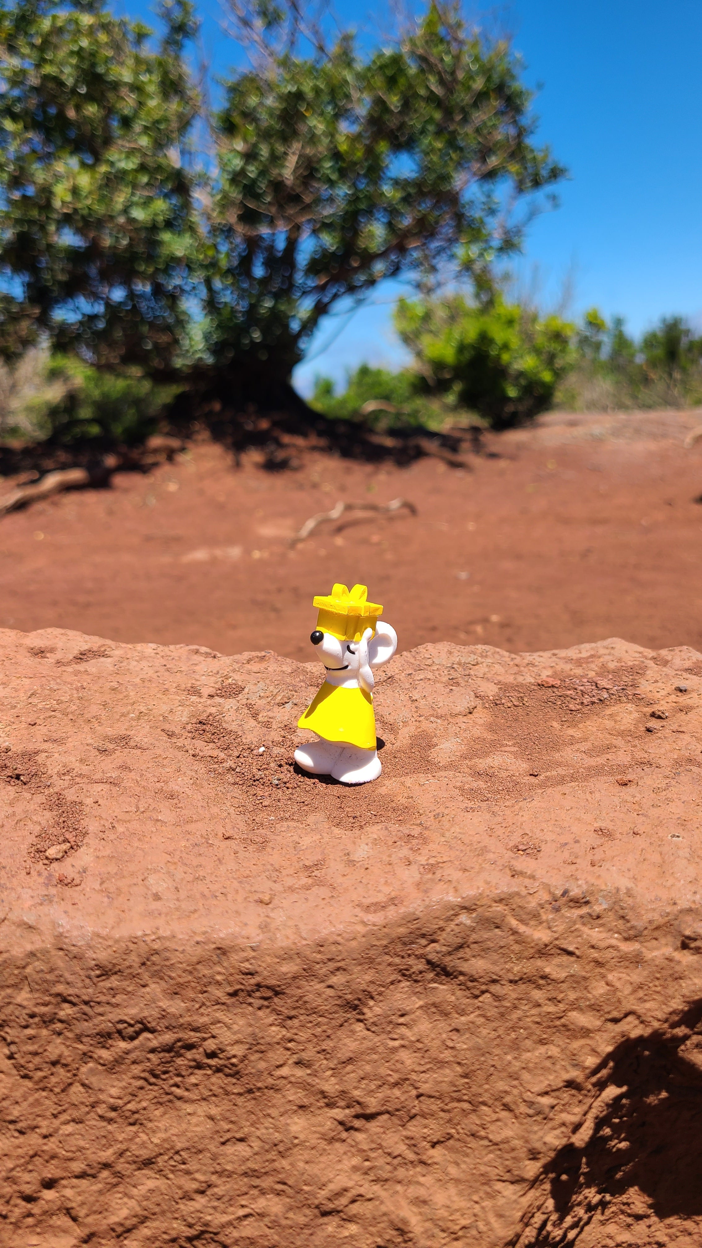 🐭🌴 Manfred unterwegs auf La Gomera