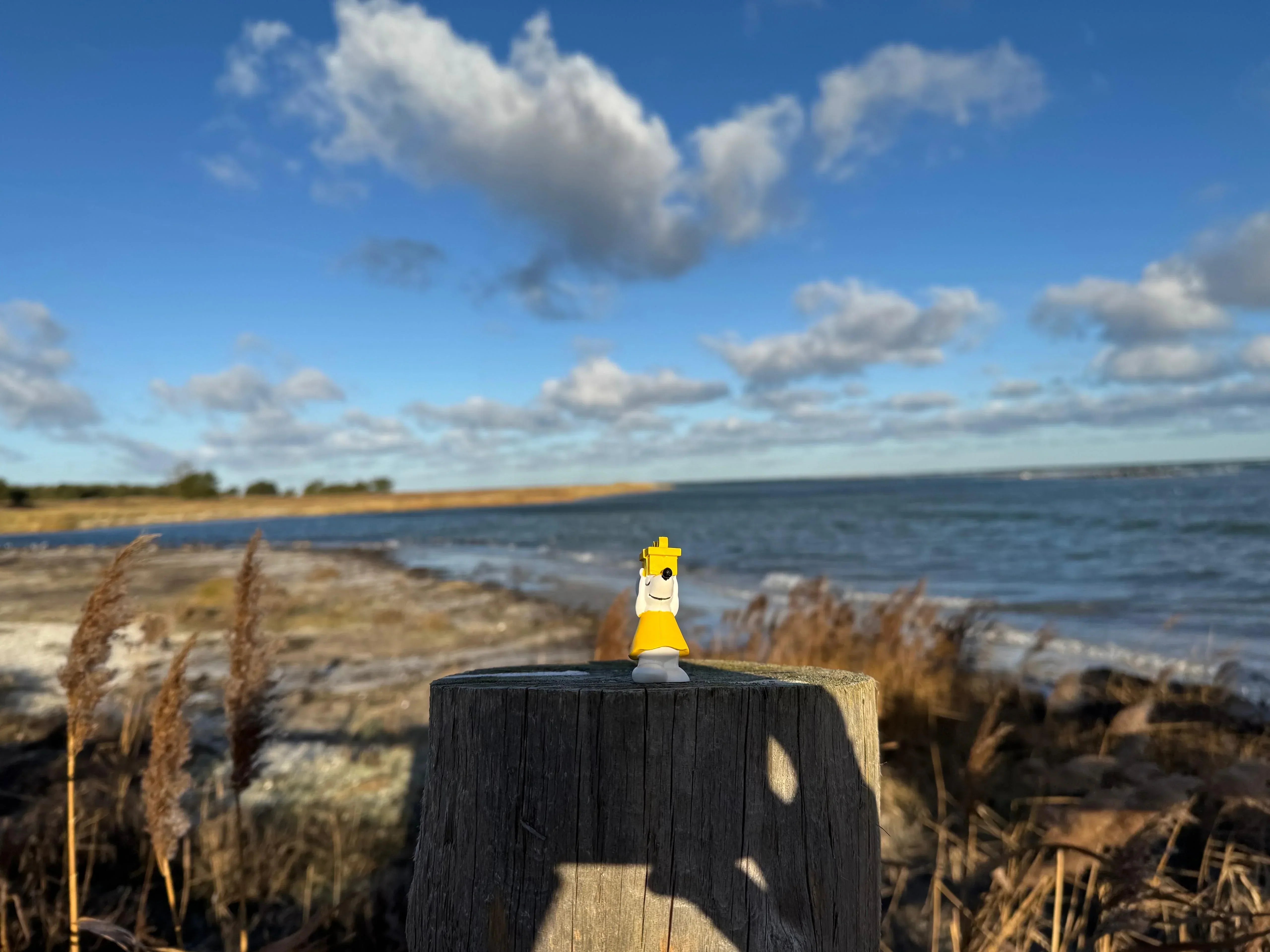 🐭🌤️ Manfred blickt über die Ostsee in Ahrenshoop