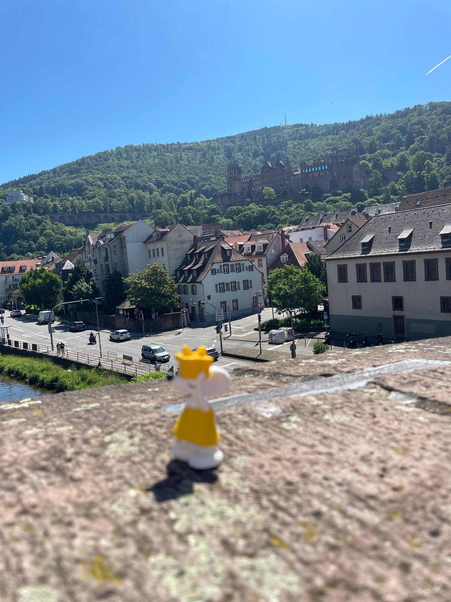 🐭🏰 Manfred unterwegs in Heidelberg