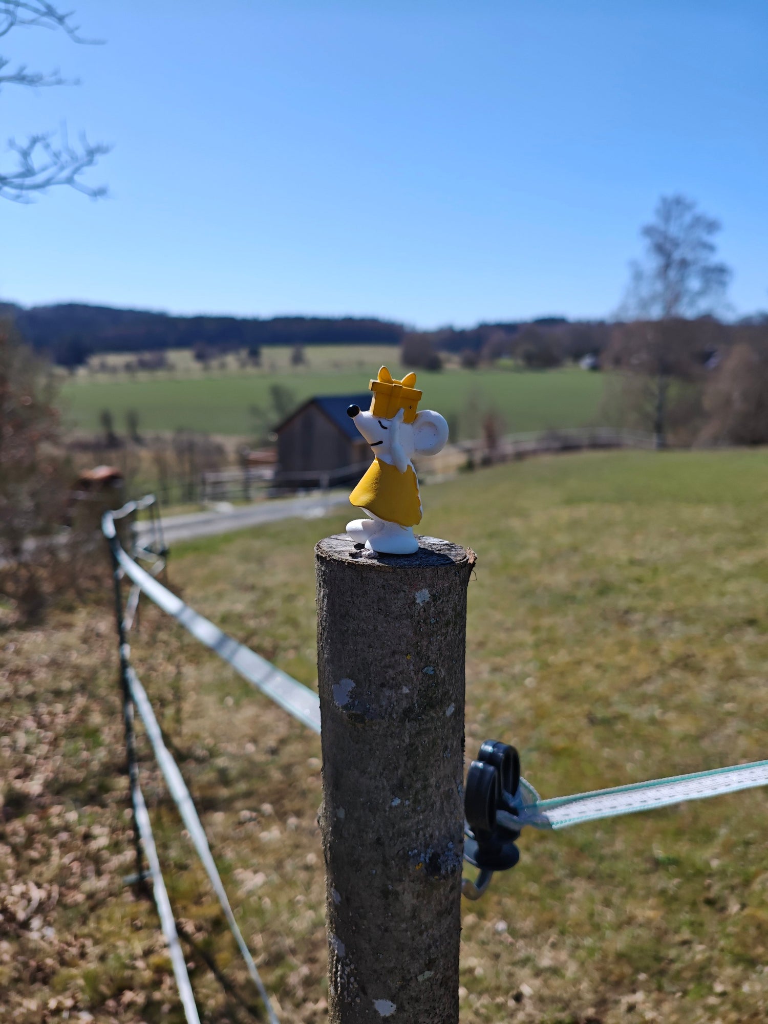 🥾🌄 Manfred auf großer Wanderschaft – unterwegs auf dem Kammweg