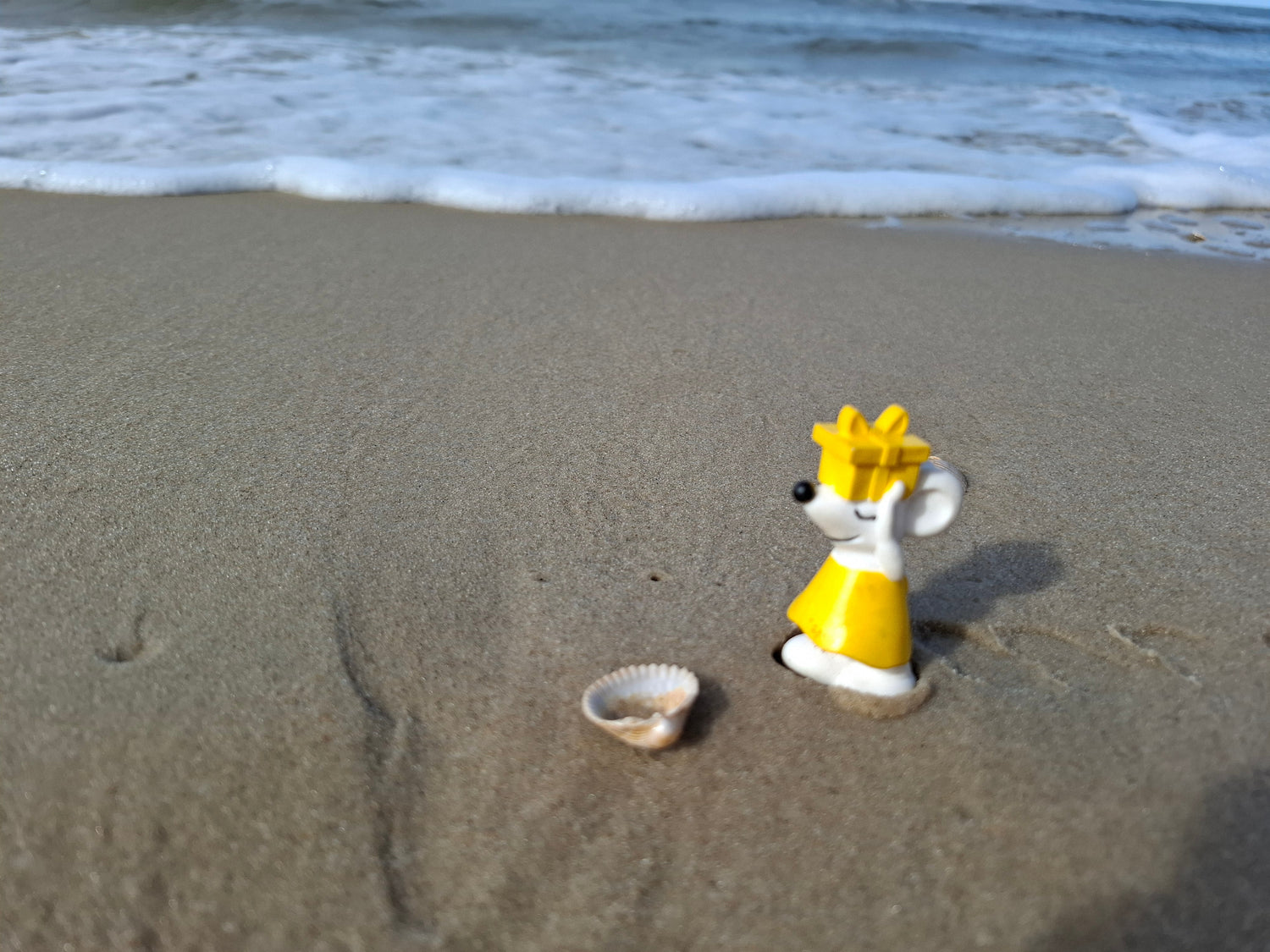 🐭🌊 Manfred unterwegs auf Norderney