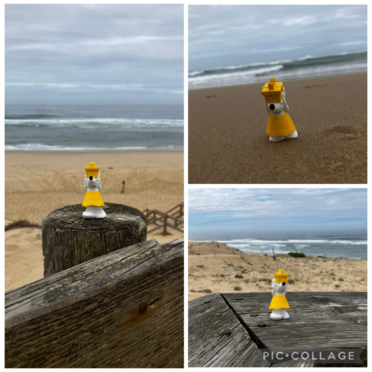 🐭🌊 Manfred unterwegs in Moliets et Maà