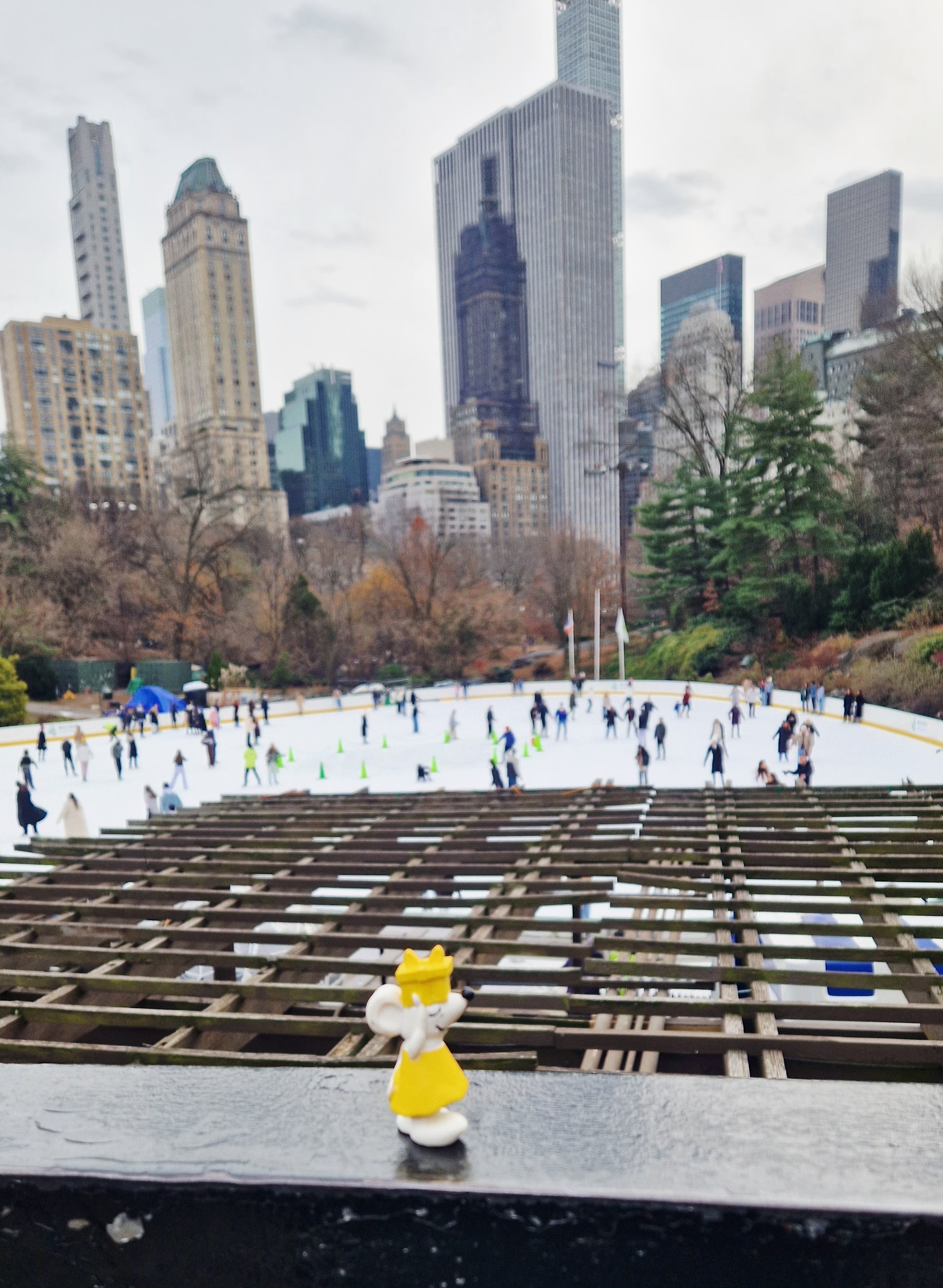 ⛸️ Manfred entdeckt New York – Schlittschuhlaufen im Central Park