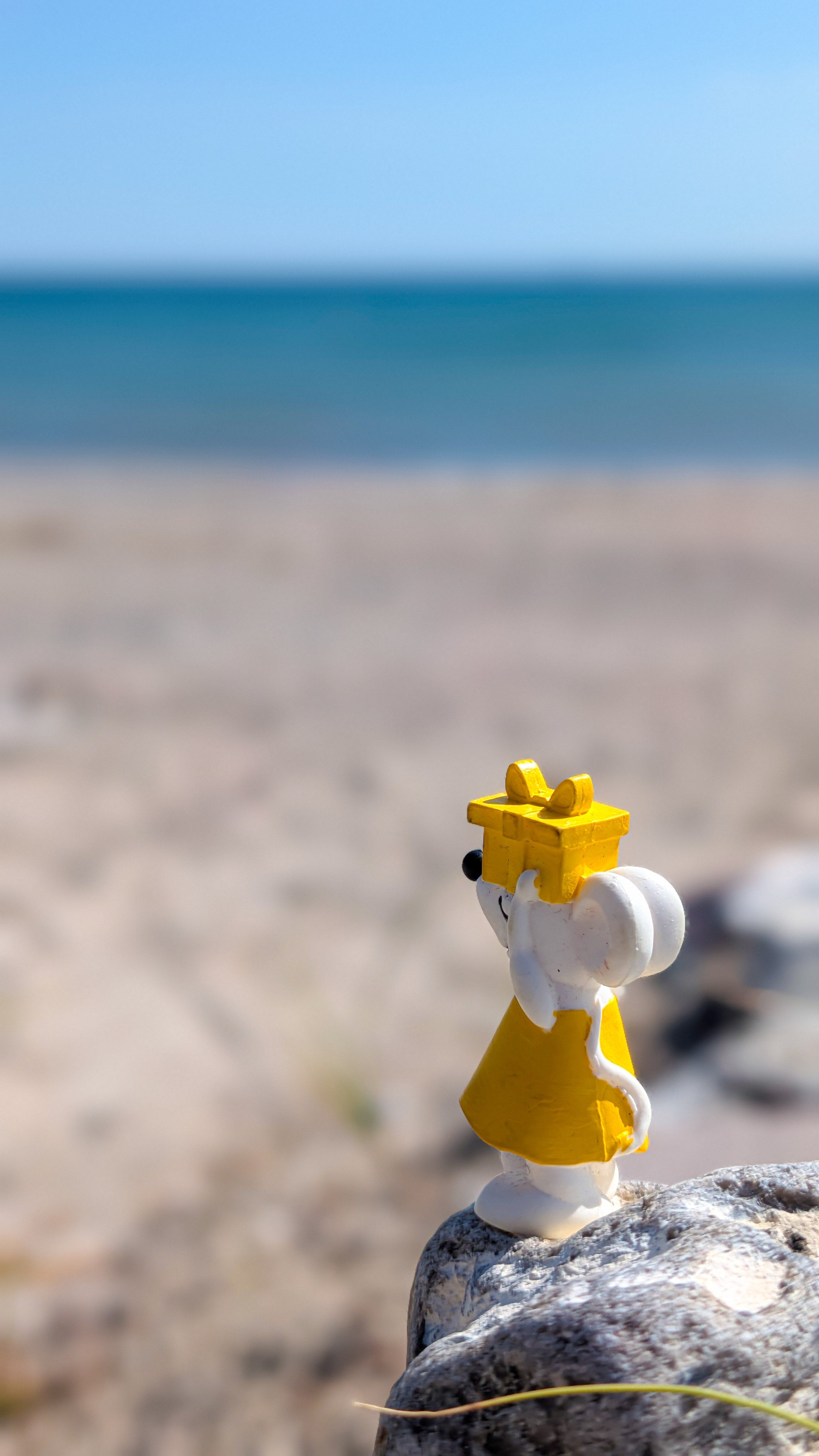 🐭🌊 Manfred erholt sich am Schubystrand