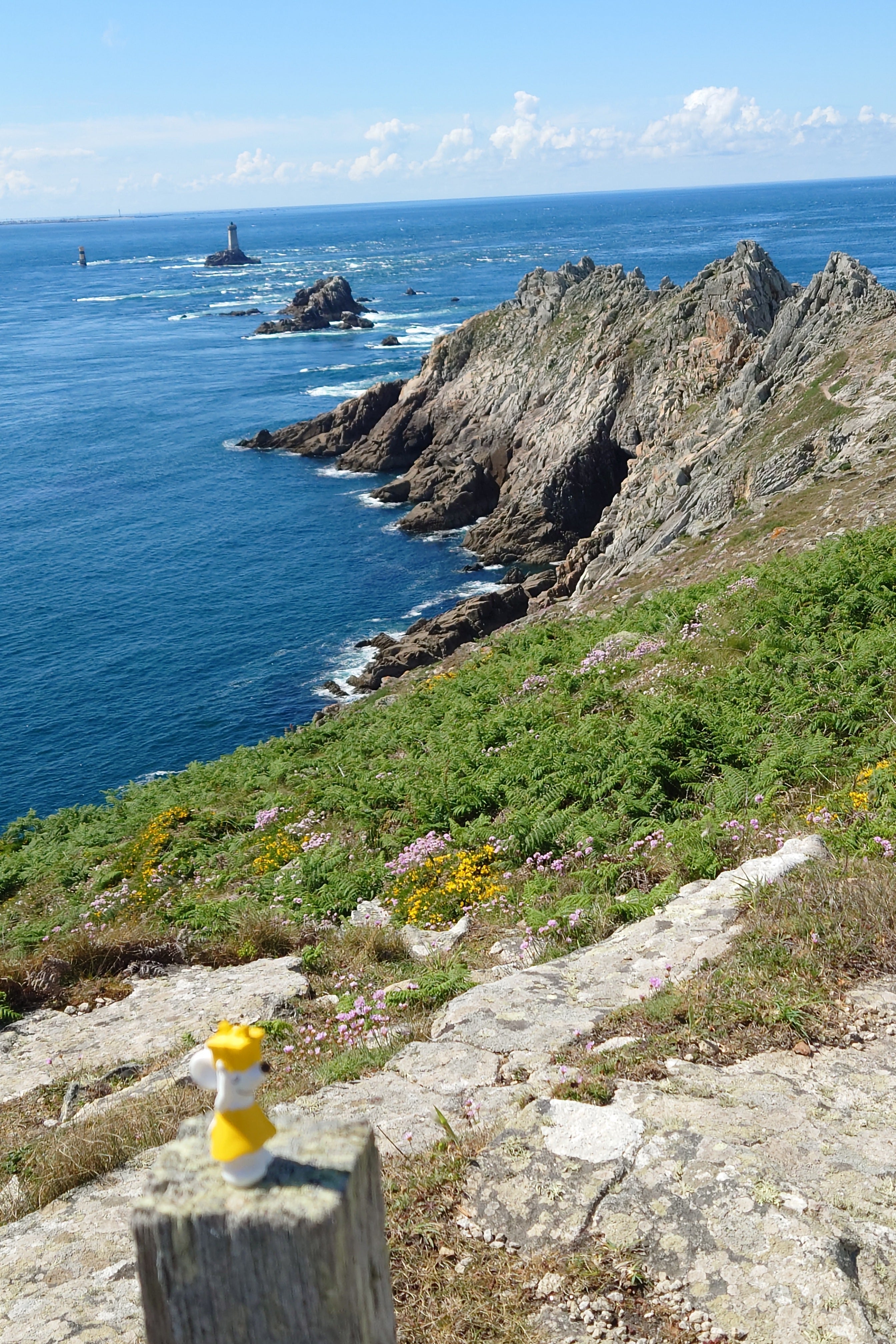 🌊 Mit Manfred ans Ende der Welt – Bretagne entdecken 🐭