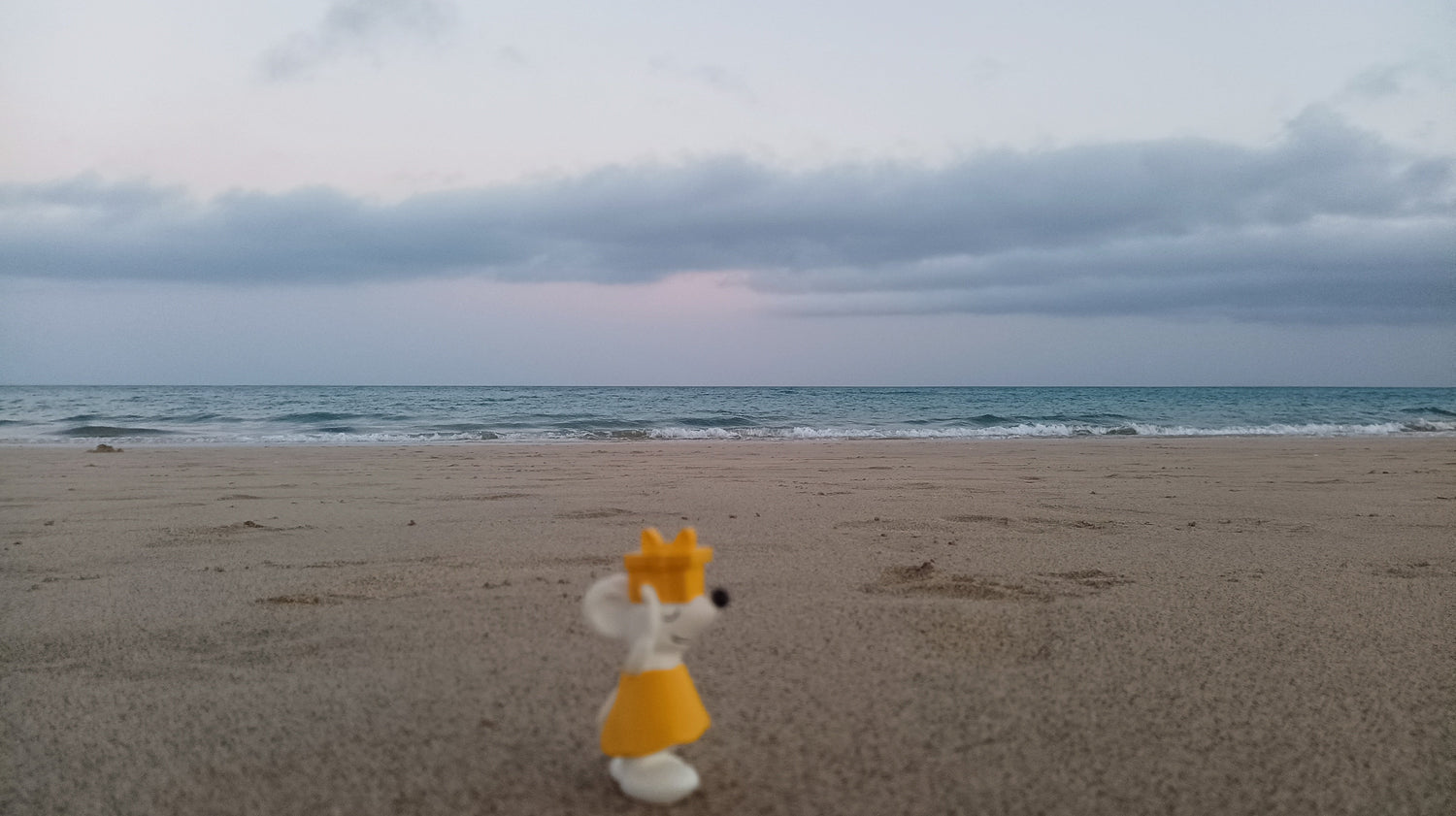 🌴 Manfred unterwegs auf 🇪🇸 Fuerteventura – Sonne, Sand und ganz viel Meeresrauschen