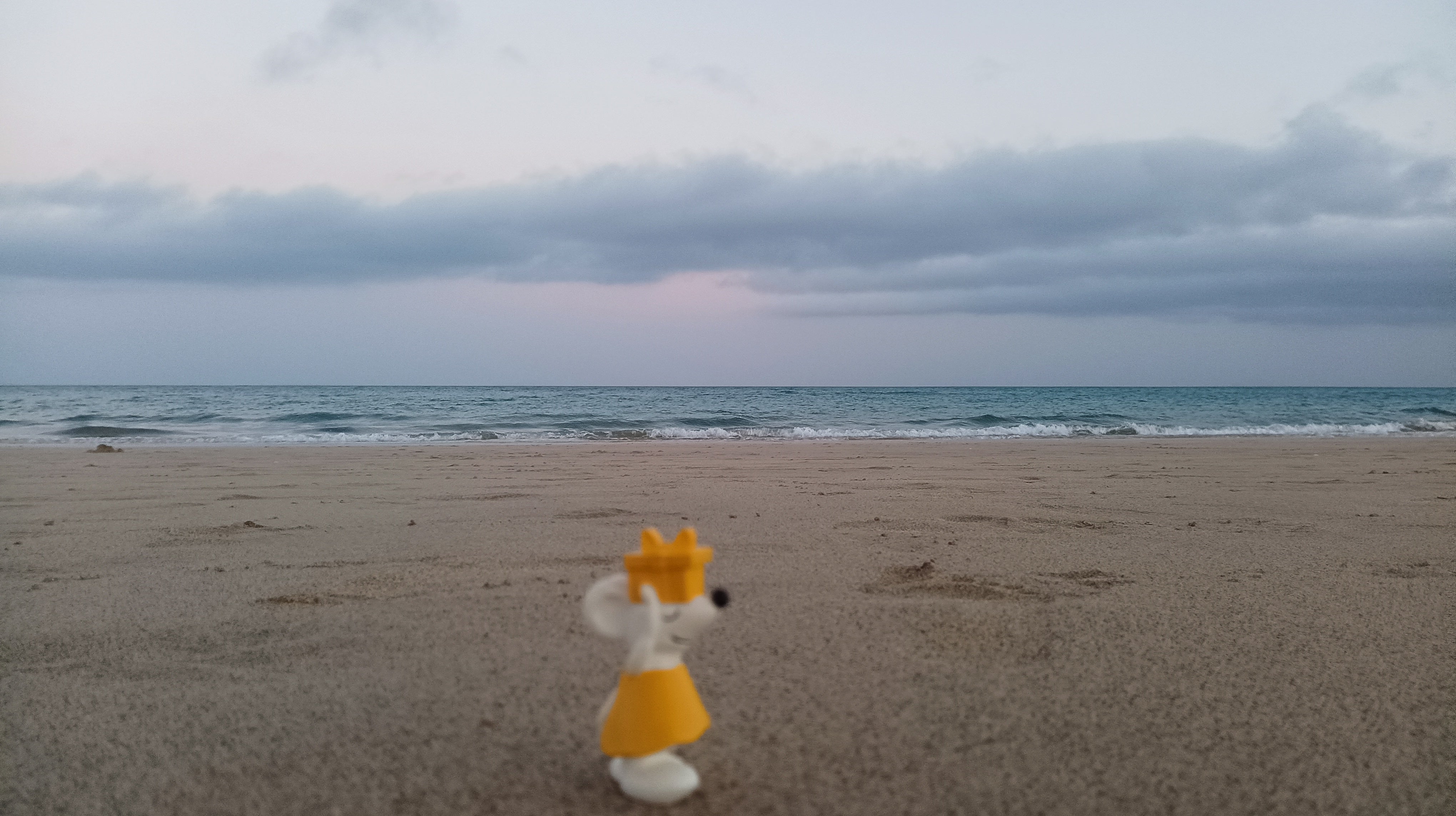 🌴 Manfred unterwegs auf 🇪🇸 Fuerteventura – Sonne, Sand und ganz viel Meeresrauschen