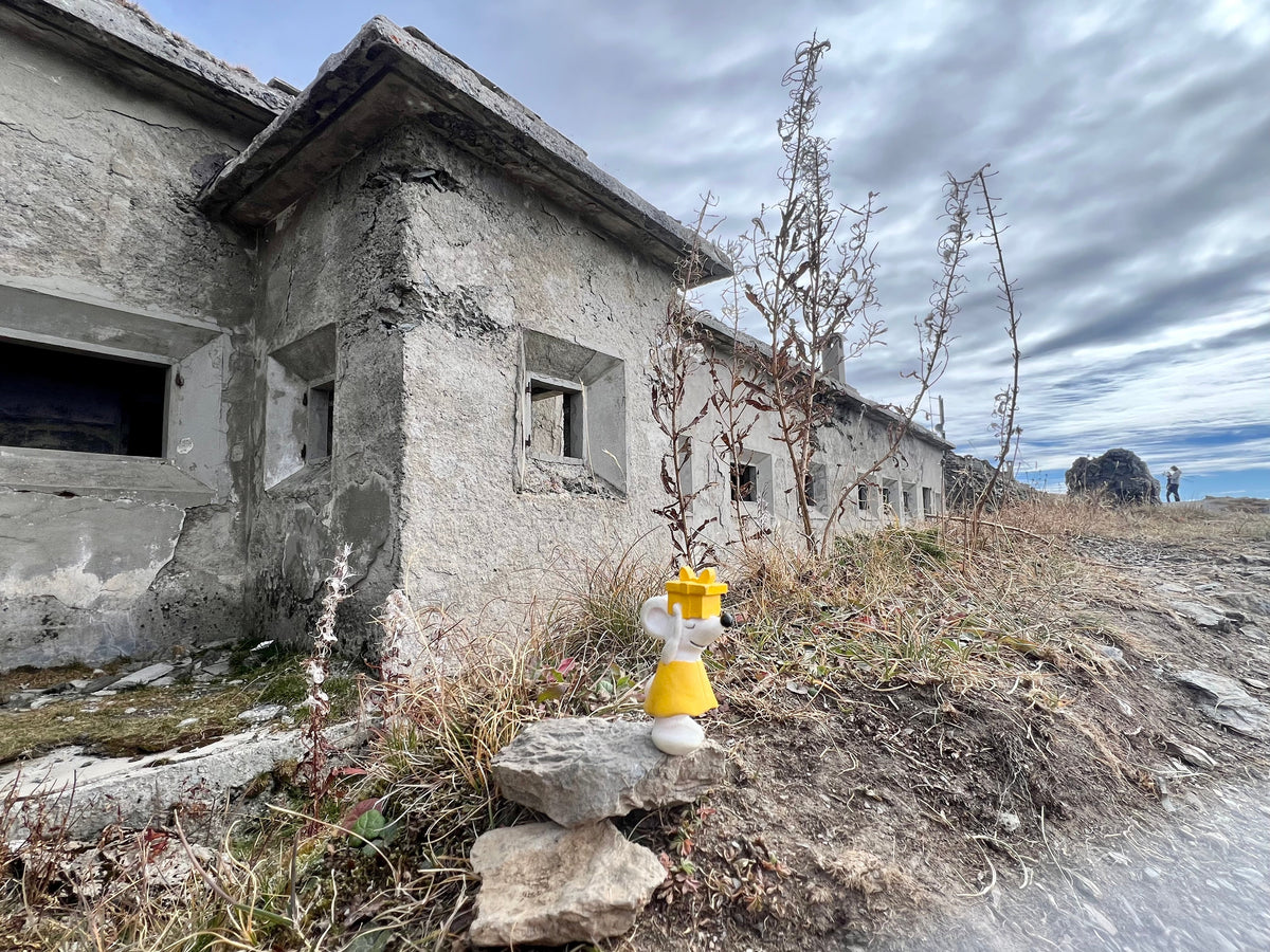 🐭⛰️ Manfred unterwegs in Sexten