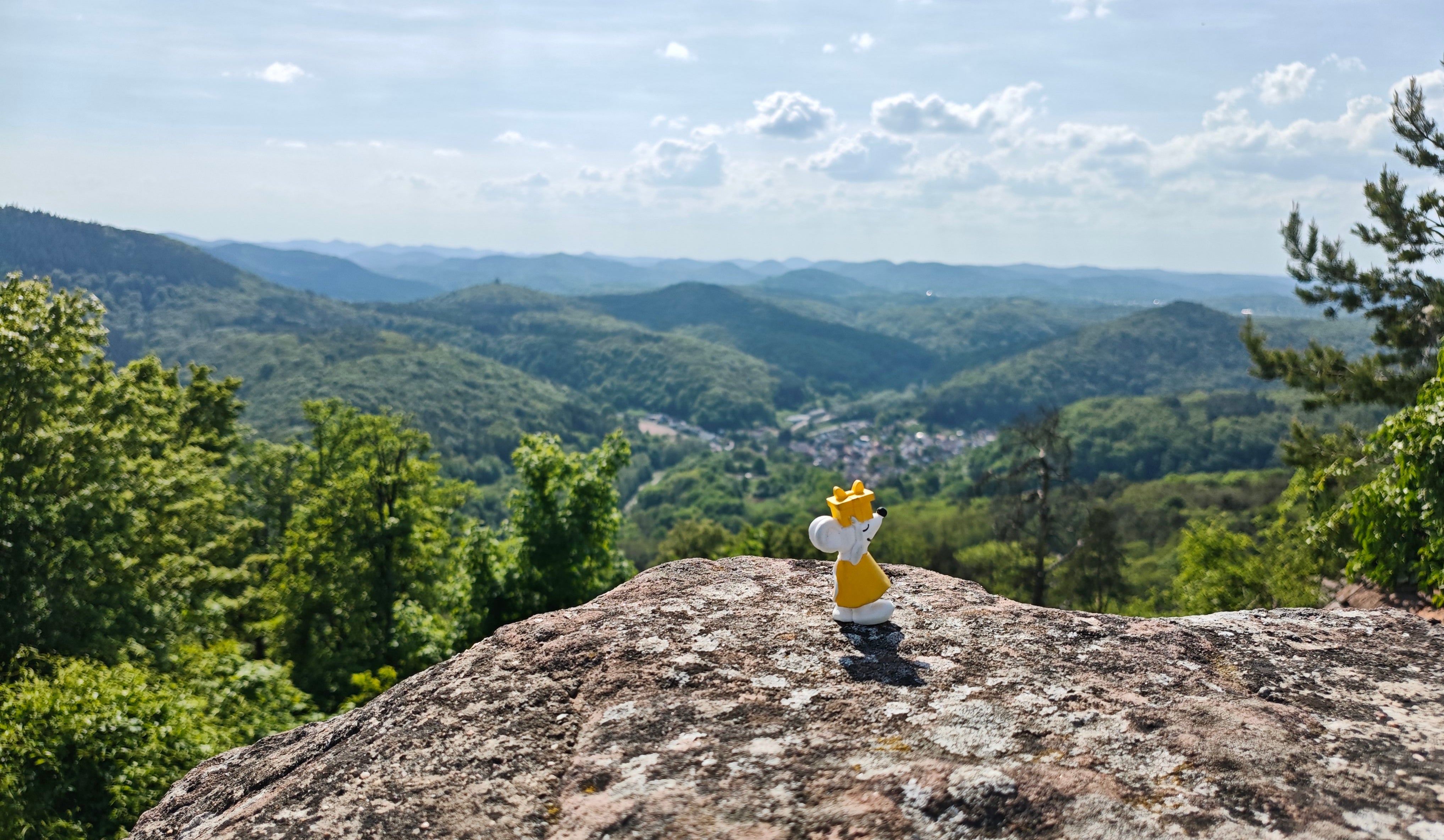 🏰🌿 Hoch hinaus mit Manfred – auf der Madenburg in der Pfalz