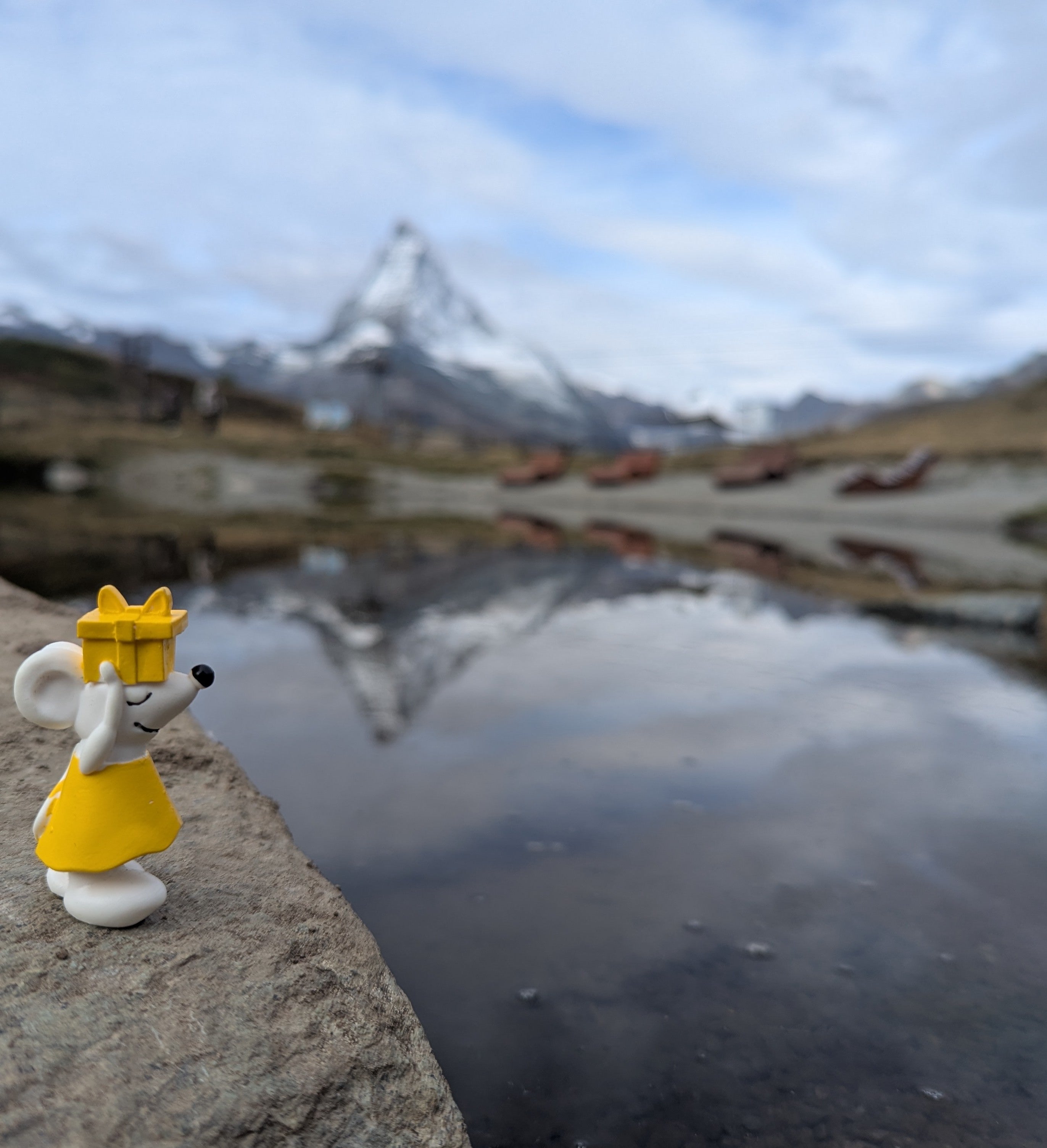🏔️ Manfred am Matterhorn – Käsevergleich auf höchstem Niveau