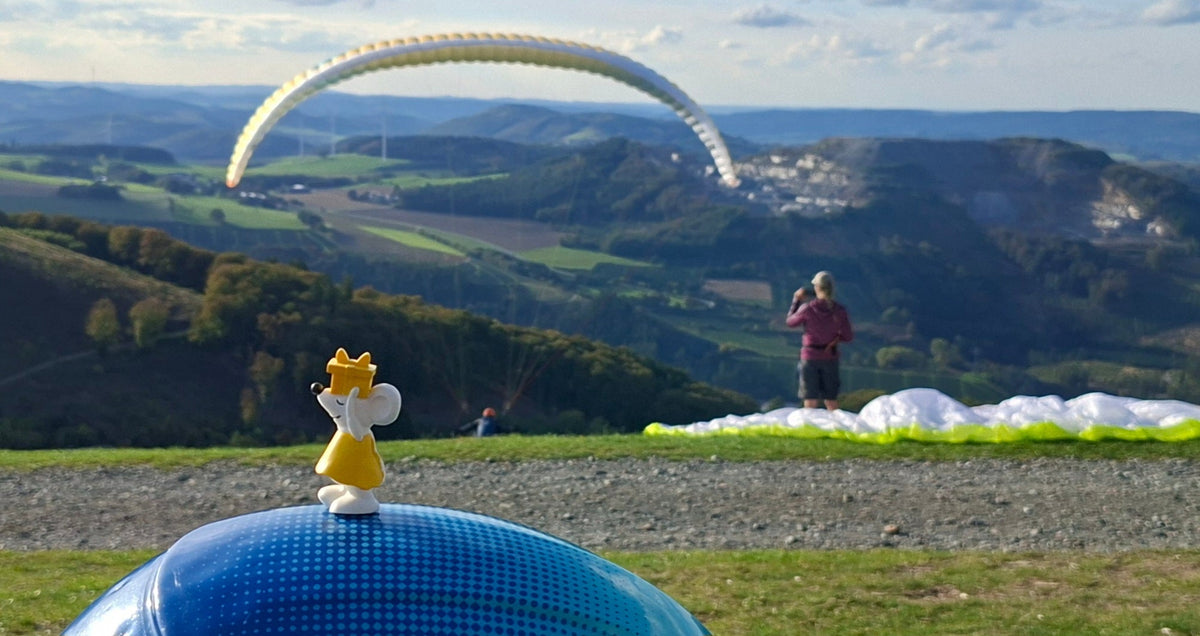 🐭⛰️ Manfred unterwegs im Sauerland