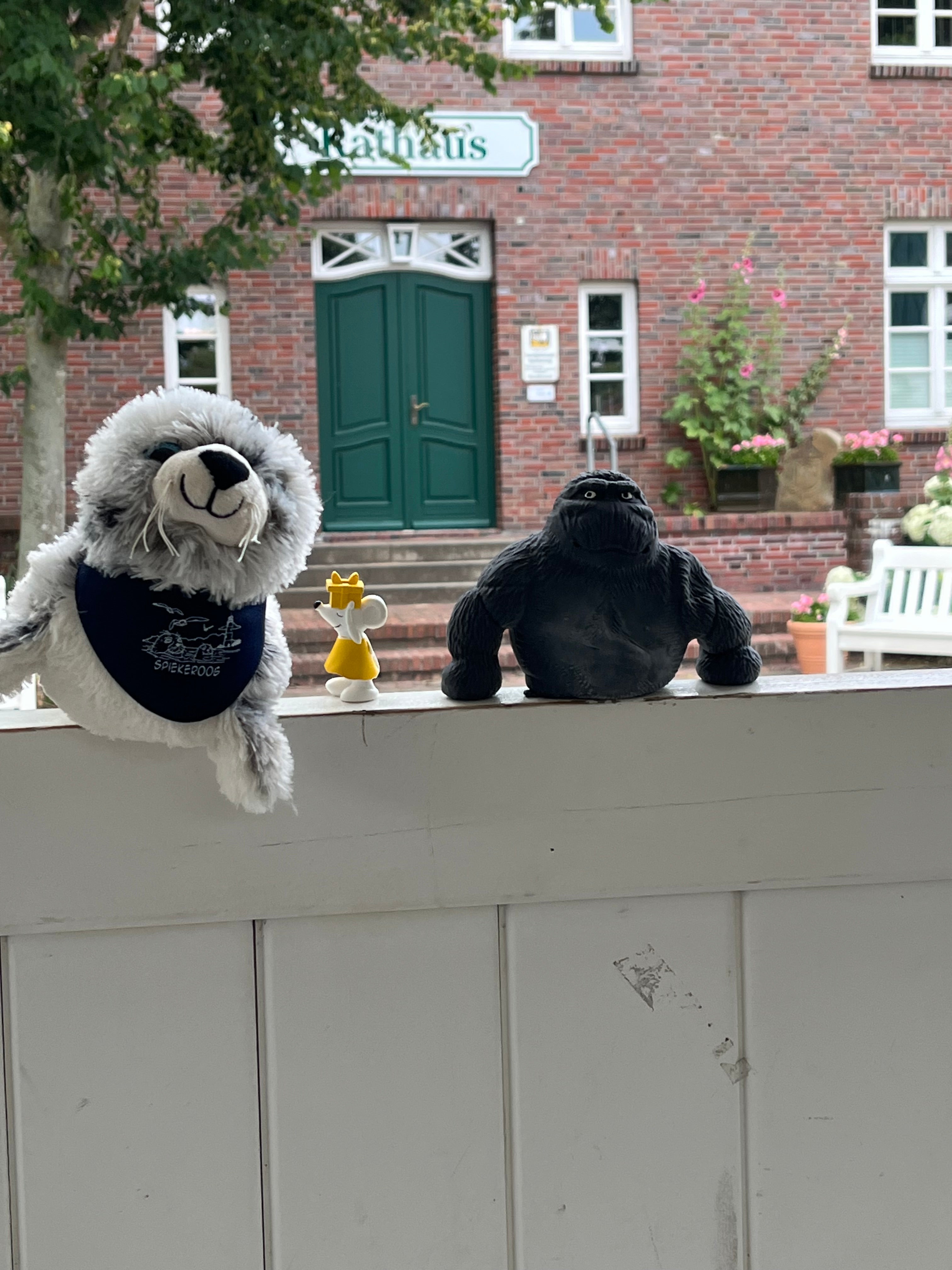 🐭 Manfred als Tourguide – mit Tom unterwegs auf Spiekeroog